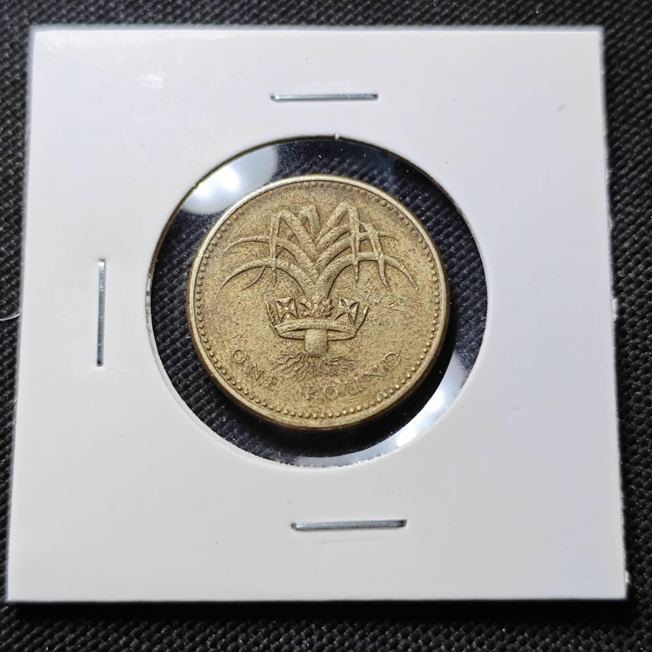 KK钱币收藏小铺  第386期  2月预留时间 周末发货  英国1镑