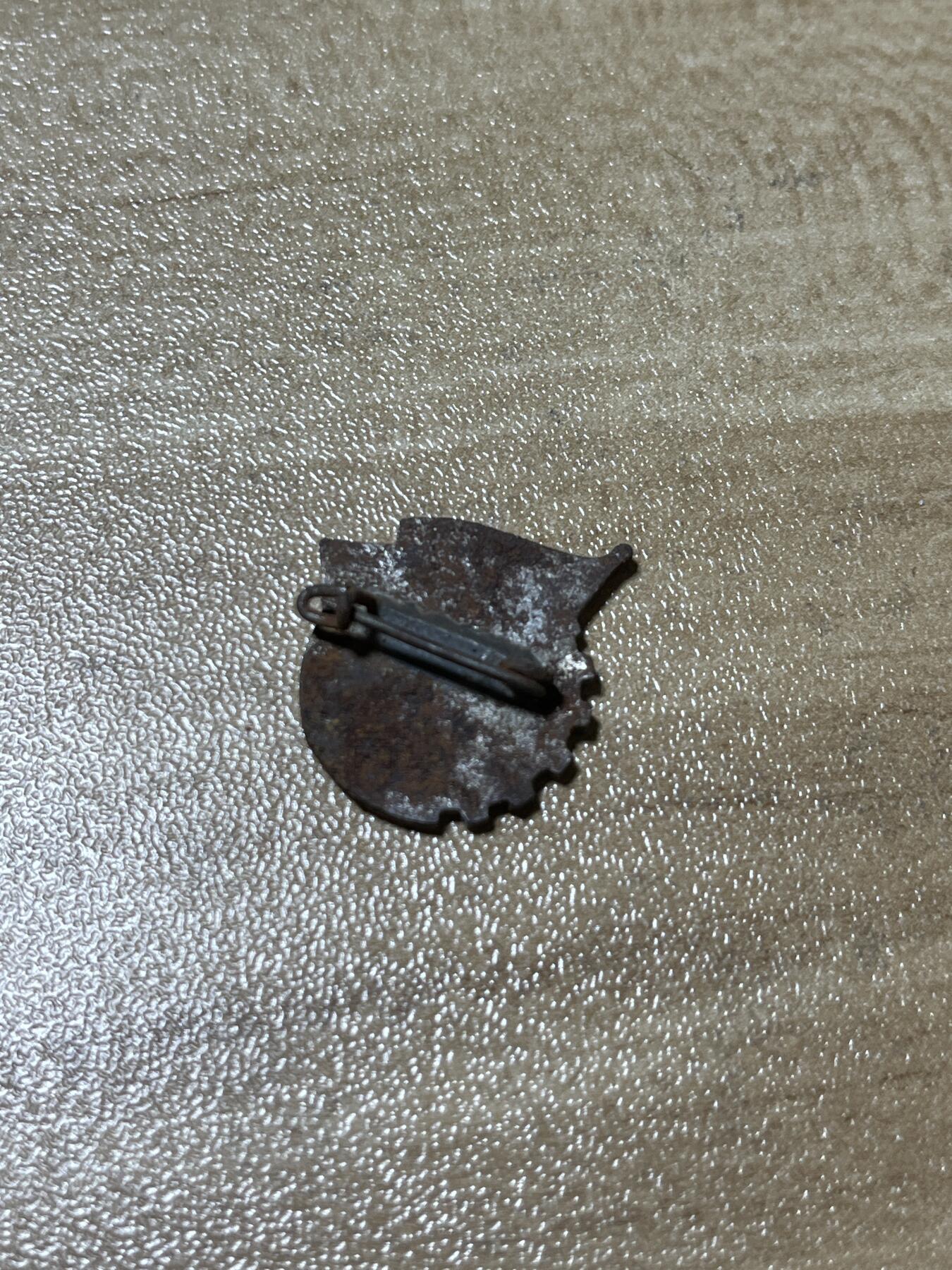 杂七杂八老徽章快拍专场 五十年代珐琅徽章