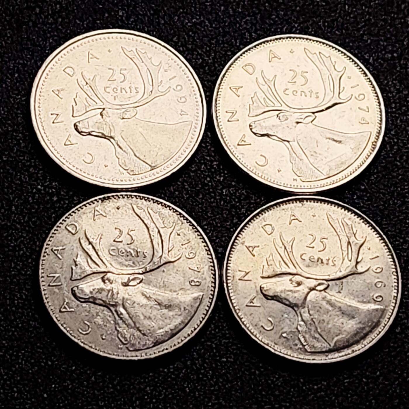 泉币菌-第165场-新年第八场 精品福利场