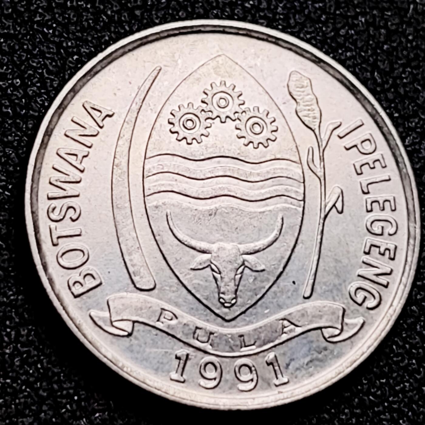 泉币菌-第165场-新年第八场 精品福利场 带光美品 羚羊 博茨瓦纳1991年 10西比铜镍硬币 22.0毫米 4.0克