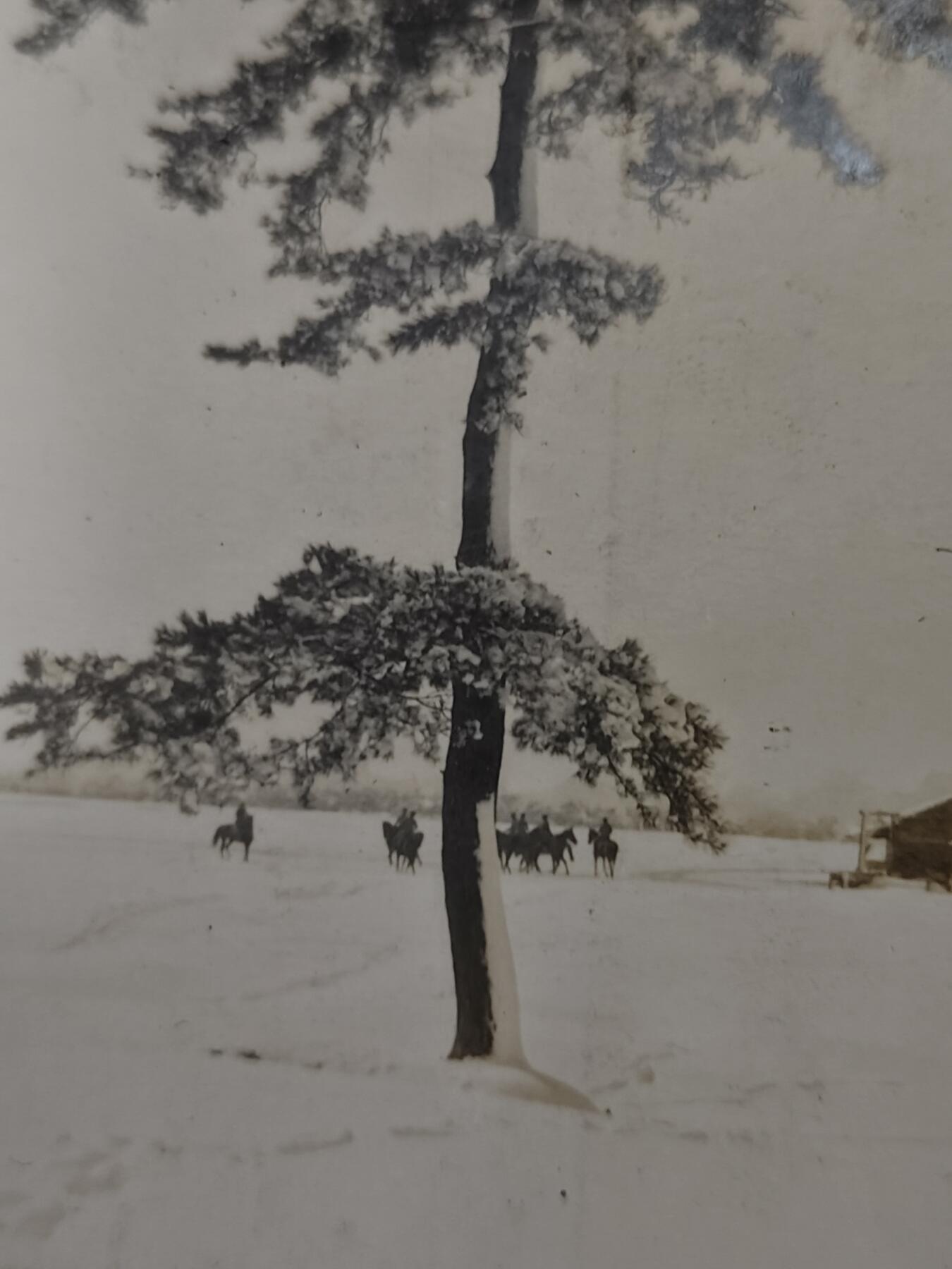 0元起拍勋章 第323期 咸鱼国勋章拍卖专场 1月7日（周三）下午6：00开始