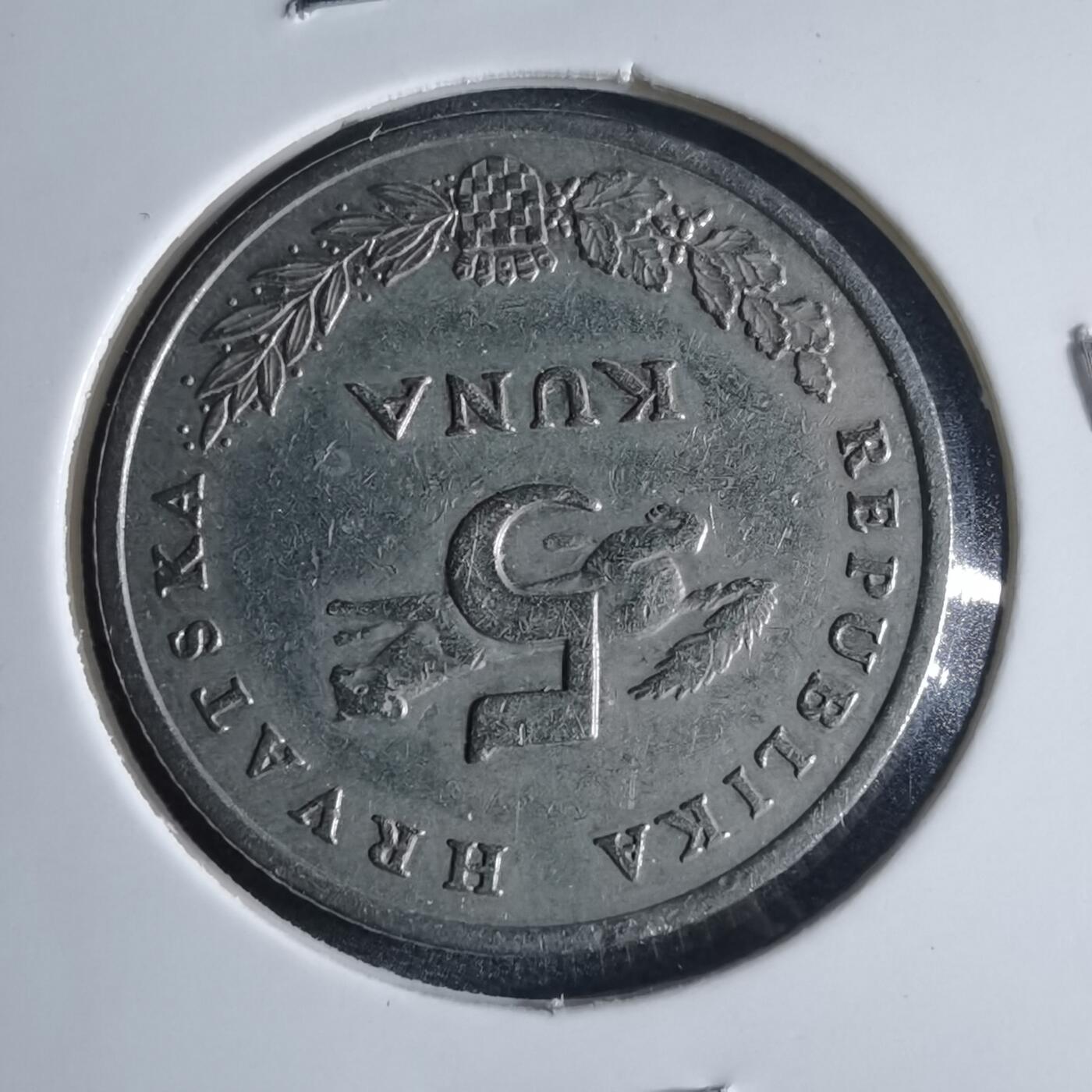 沼泽如烟--第954场