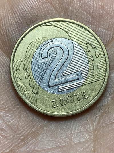 2026年第四场(总第一百七十三场）外国好品散币场(免佣金) - 波兰🇵🇱2020年2兹罗提