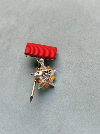 盛世勋华——号角文化勋章邮票专场拍卖第297期 - 南斯拉夫1941年游击队勋章迷你 带挂针 少见