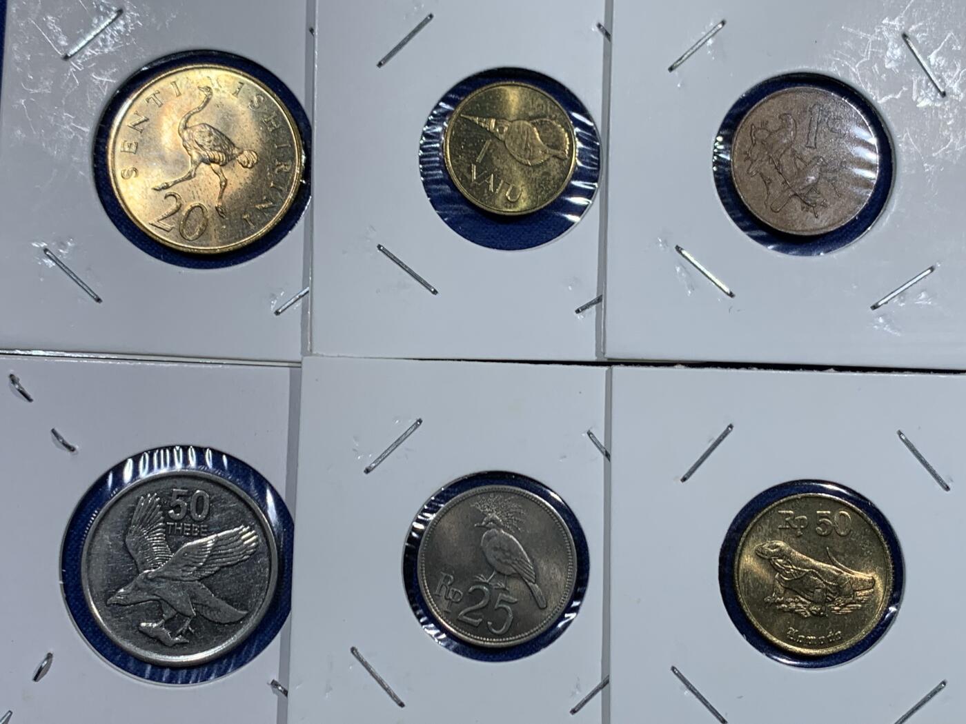 《竞宝斋》第455场 周日，周一 2场连拍 （全场包邮，欢迎送拍） 12枚一组 世界动物钱币