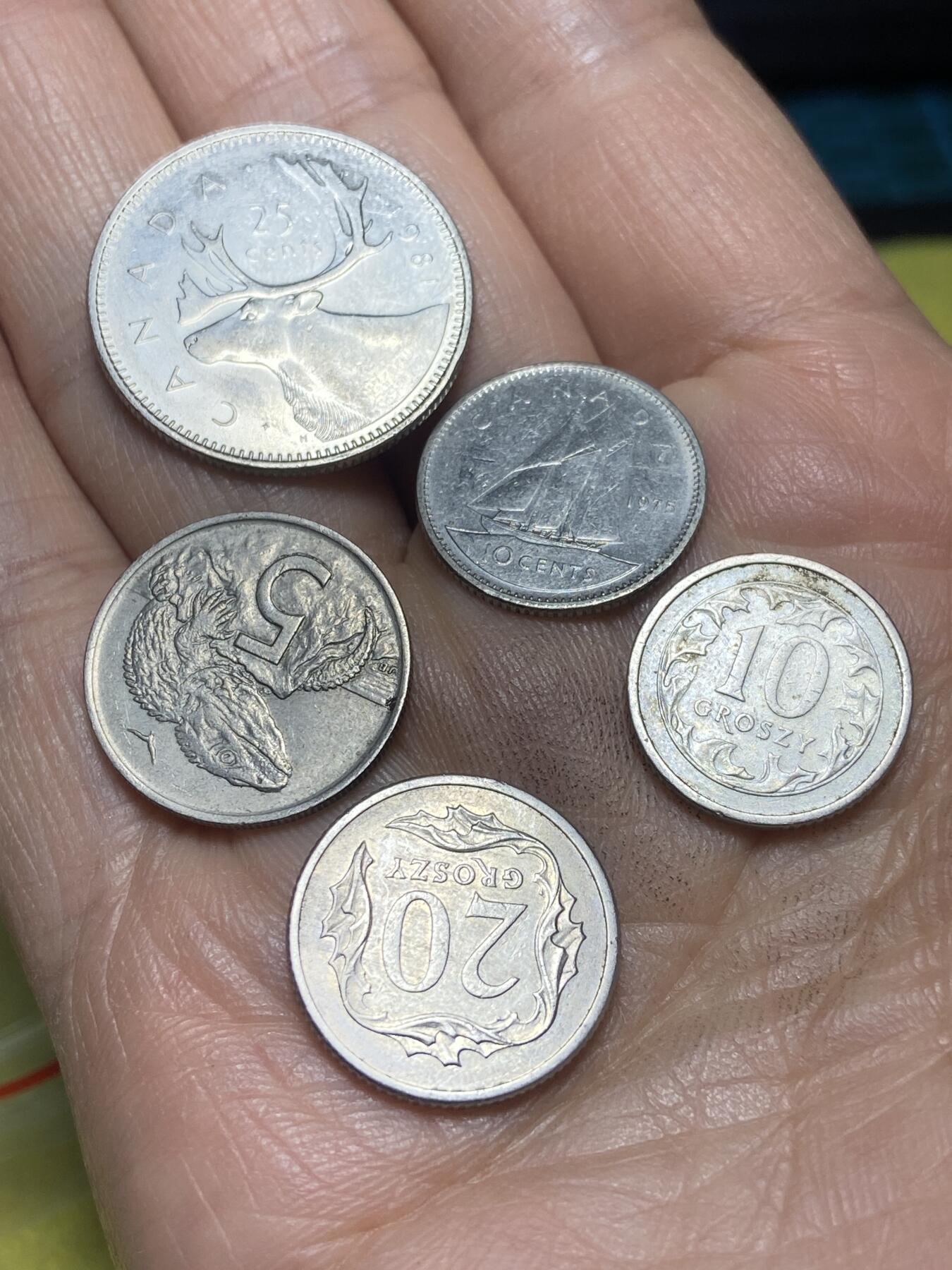 2026年第四场(总第一百七十三场）外国好品散币场(免佣金) 5枚：加拿大🇨🇦2981年25分，1975年10分，新西兰🇳🇿1967年5，波兰🇵🇱1991年10格罗希，1992年20格罗希