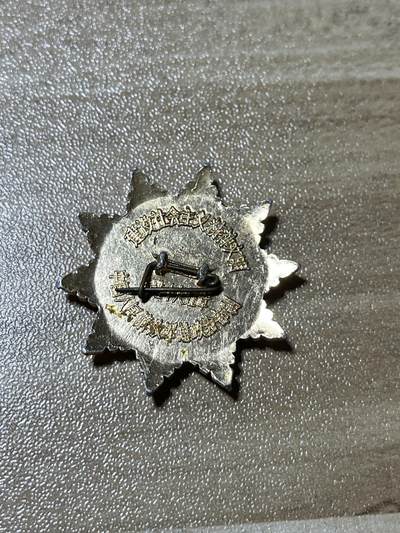 杂七杂八老徽章快拍专场 建设社会主义先进个人纪念章