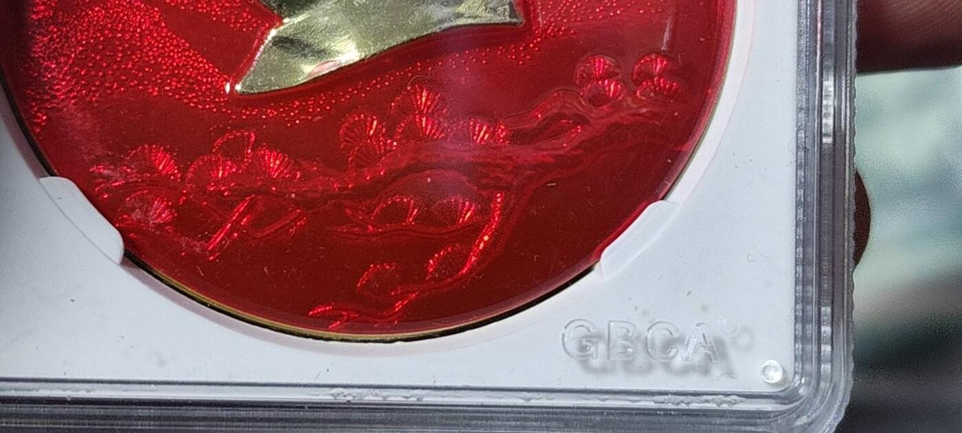 🔥8706部队🔥 公博评级毛主席像章—暮色苍茫看劲松，68分