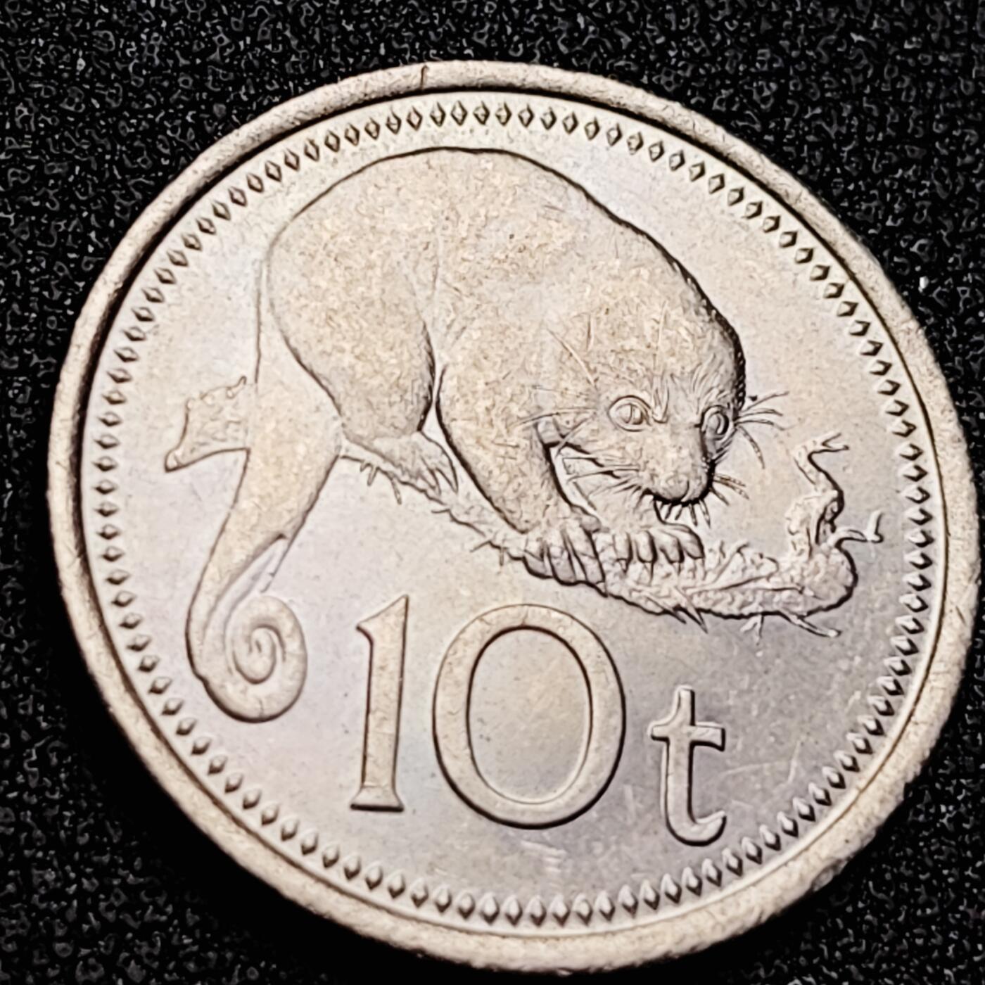 泉币菌-第166场- 新年第九场 精品福利场 。