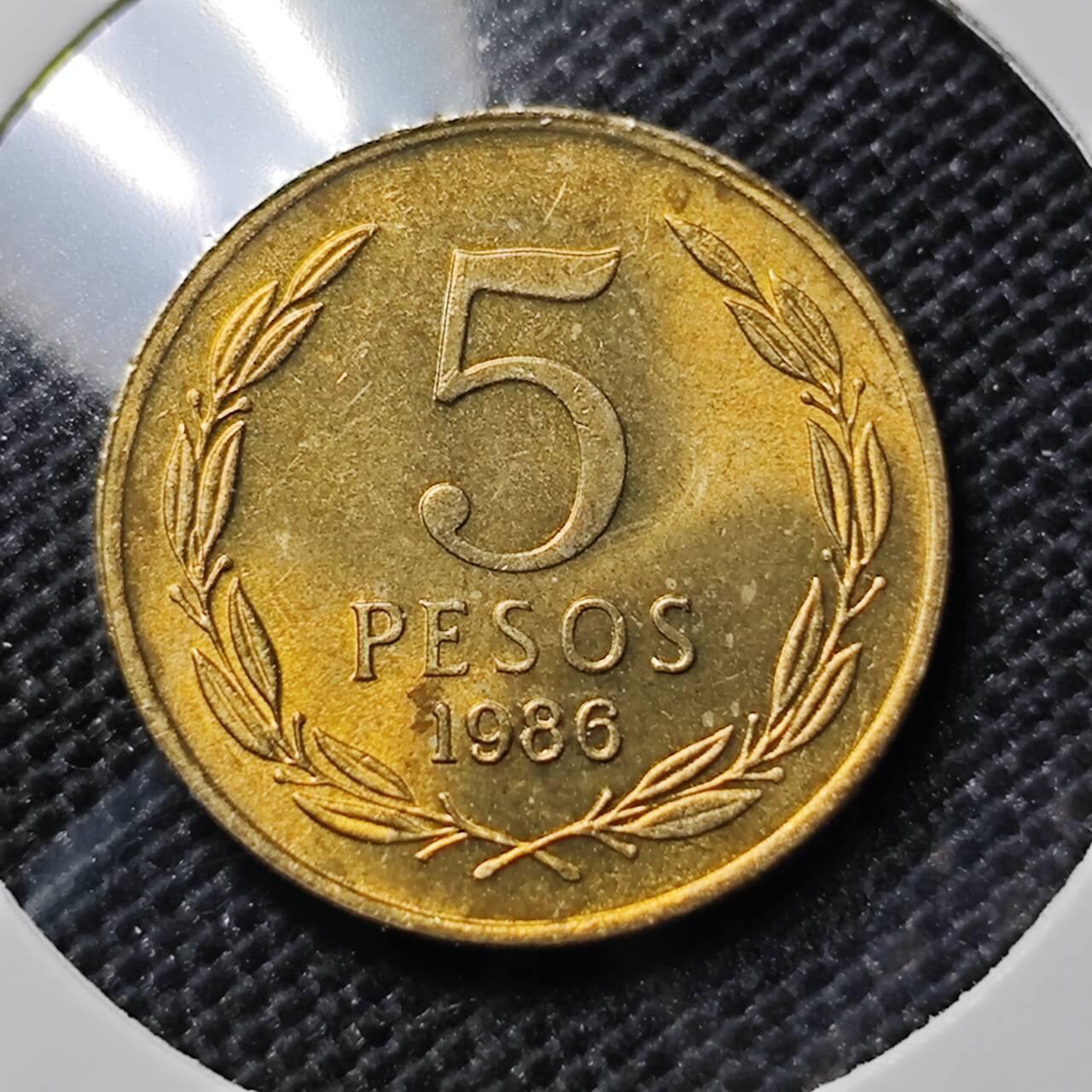 KK钱币收藏小铺  第387期  2月预留时间 周末发货 1986智利5比索 好品