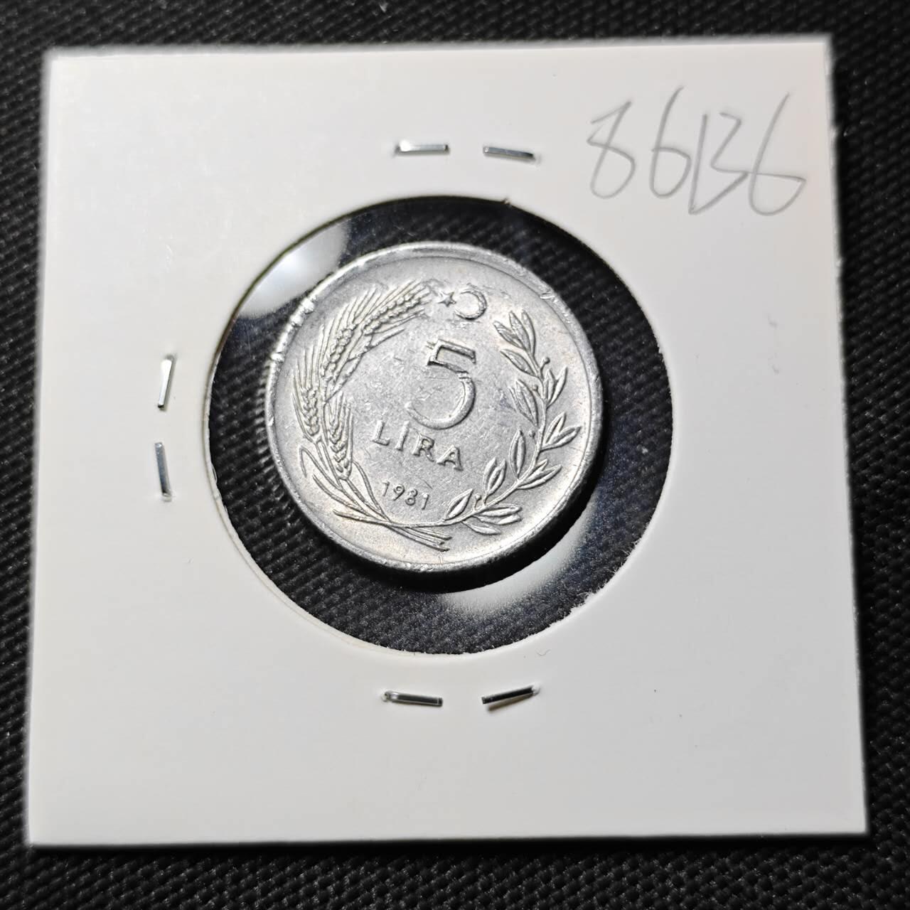 KK钱币收藏小铺  第386期  2月预留时间 周末发货