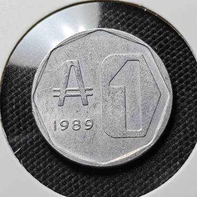 KK钱币收藏小铺  第387期  2月预留时间 周末发货 -  阿根廷1奥斯特拉尔