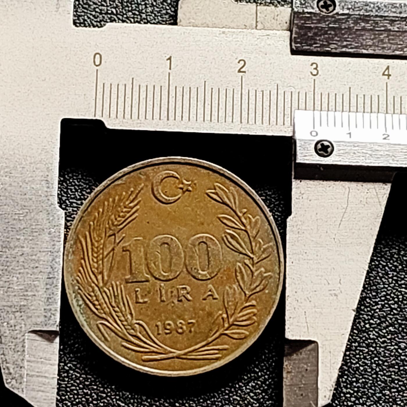 泉币菌-第165场-新年第八场 精品福利场 凯末尔总统 土耳其100里拉 直径30mm 