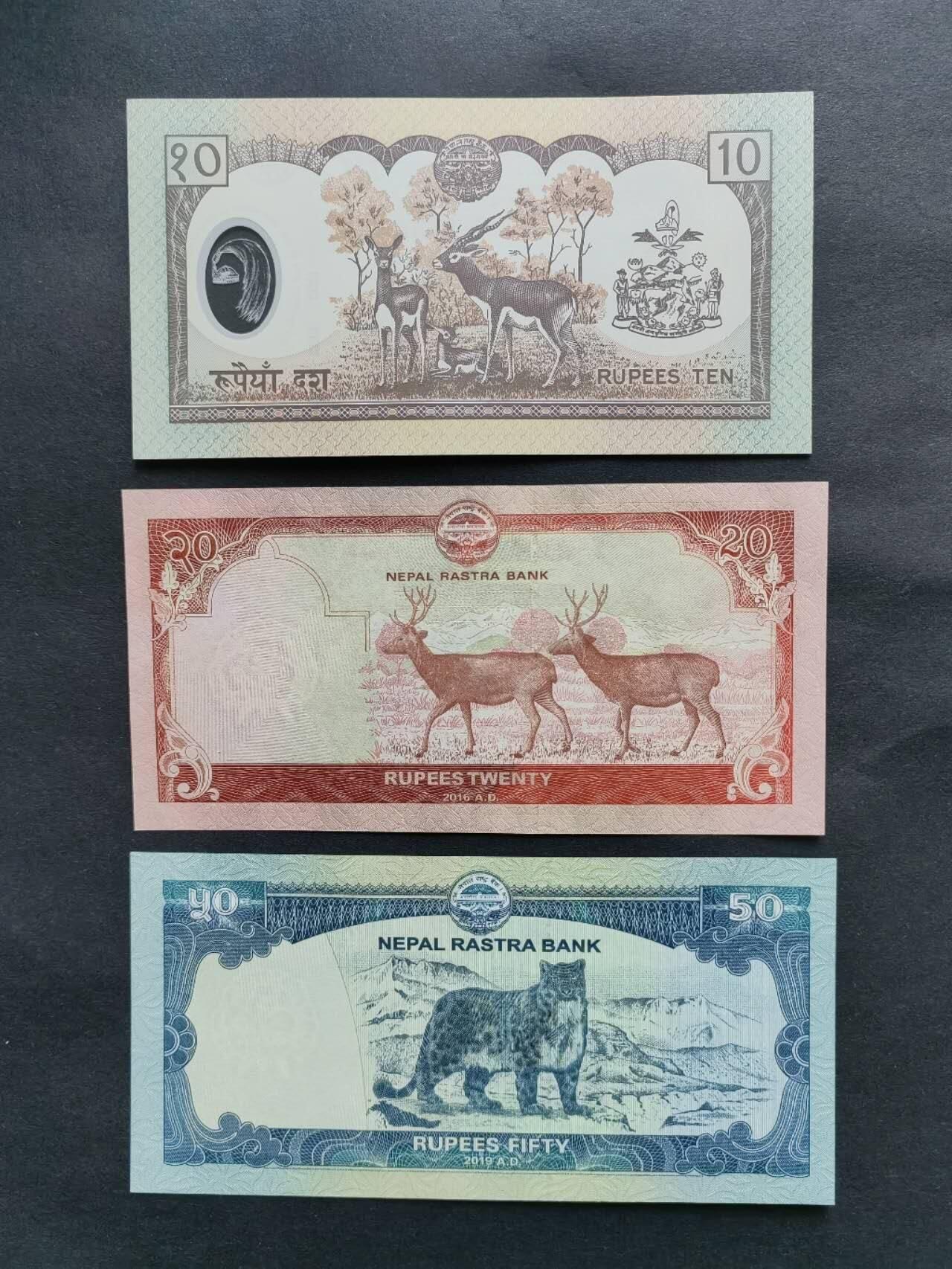 外国纸币专场260110场 尼泊尔3张，全新品相UNC。