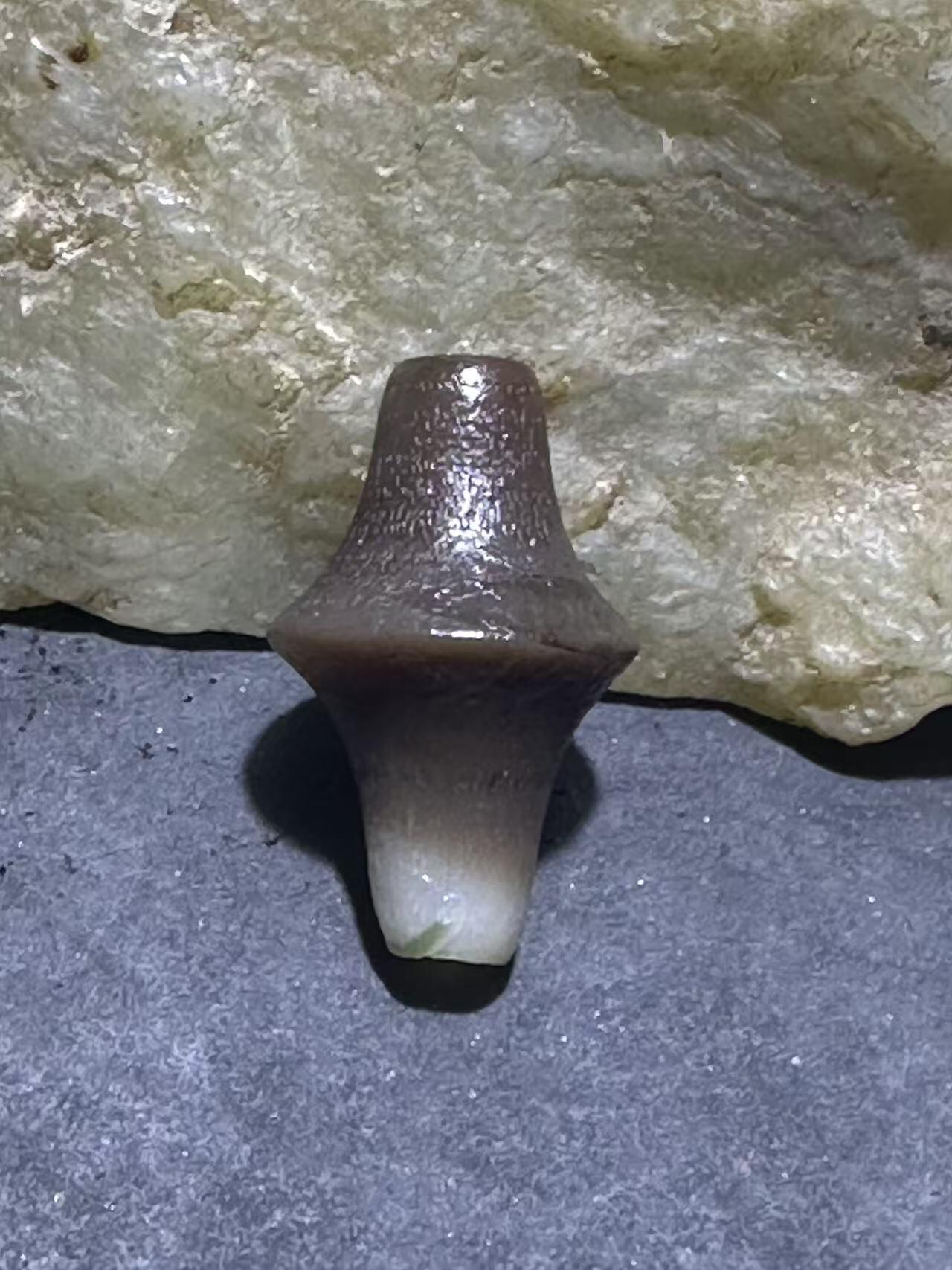 精美高玉化风化纹缠丝玛瑙碟珠一颗，