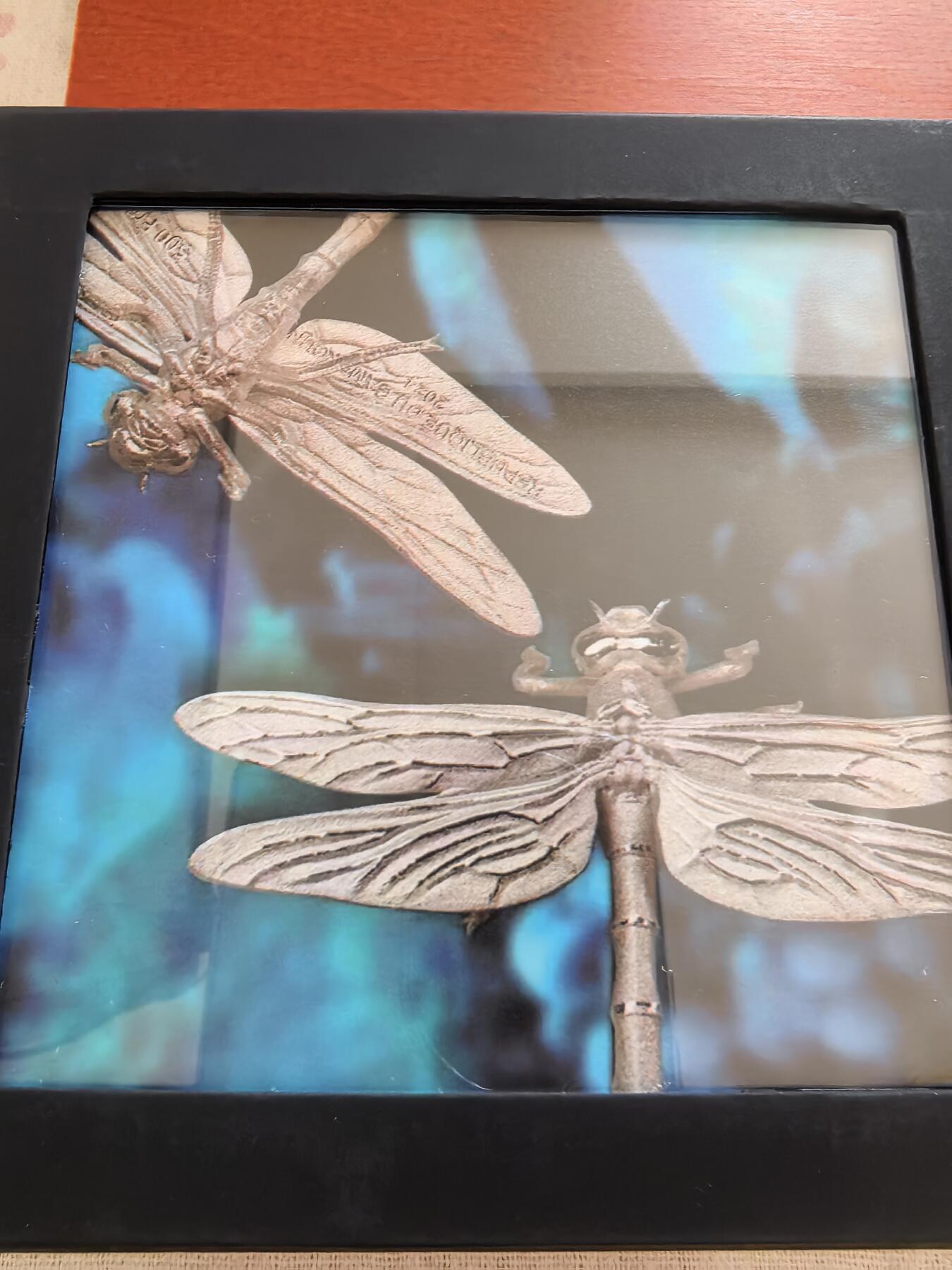 长老汇蛇年精选第九十二场拍卖 2024喀麦隆蜻蜓500法郎异形精制3D银币，7克925银，盒证全，333枚