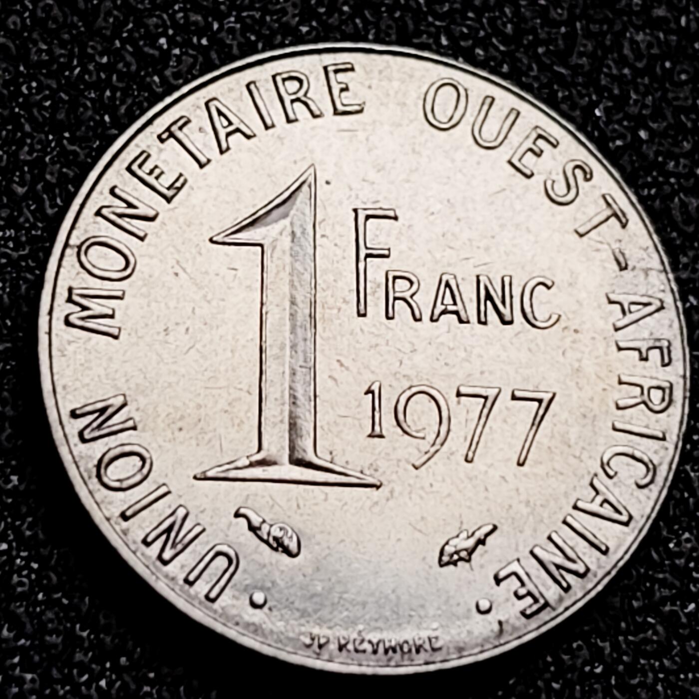 泉币菌-第166场- 新年第九场 精品福利场 。