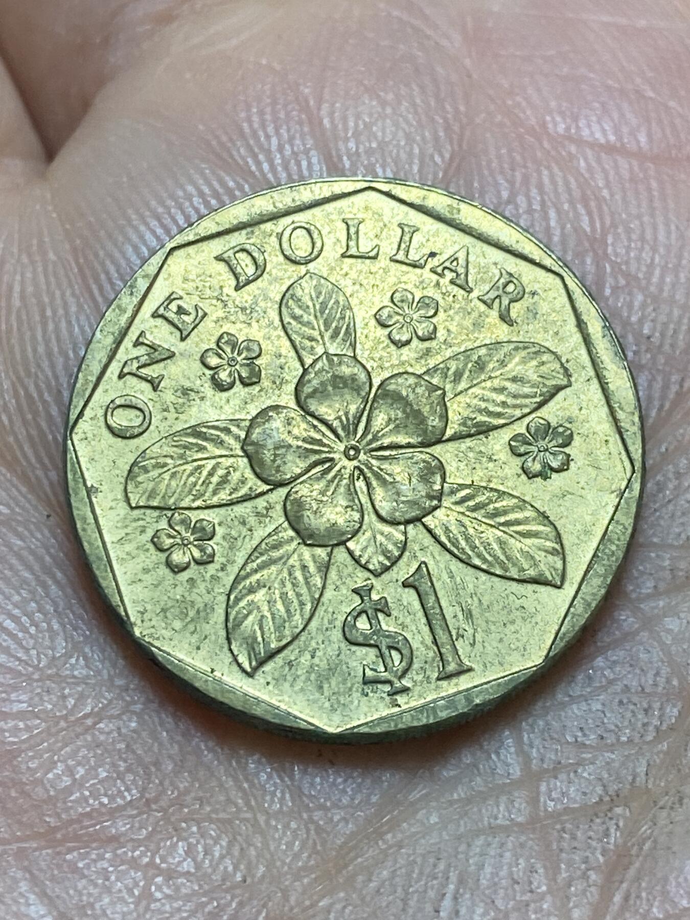 2026年第四场(总第一百七十三场）外国好品散币场(免佣金) 新加坡🇸🇬1989年1元(高盾哭脸)