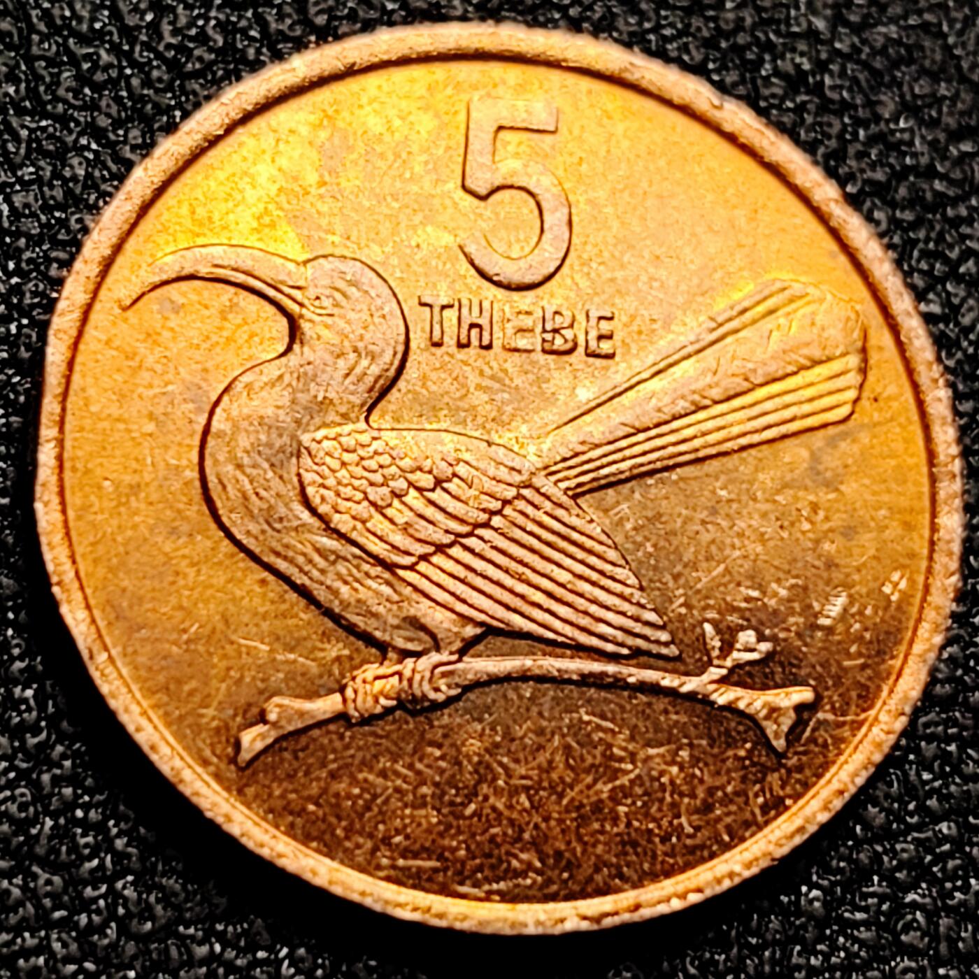 泉币菌-第165场-新年第八场 精品福利场 原铜光极美 图酷鸟 博茨瓦纳5西比 1984年 青铜硬币 19.5毫米 2.8克