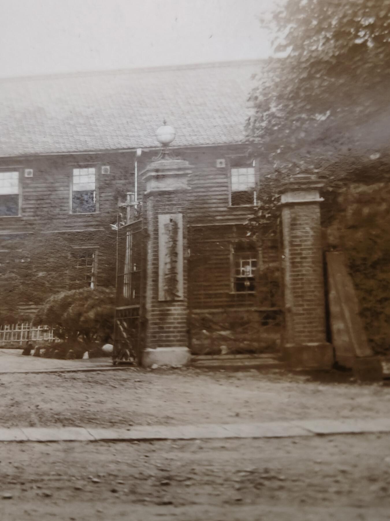 0元起拍勋章 第323期 咸鱼国勋章拍卖专场 1月7日（周三）下午6：00开始