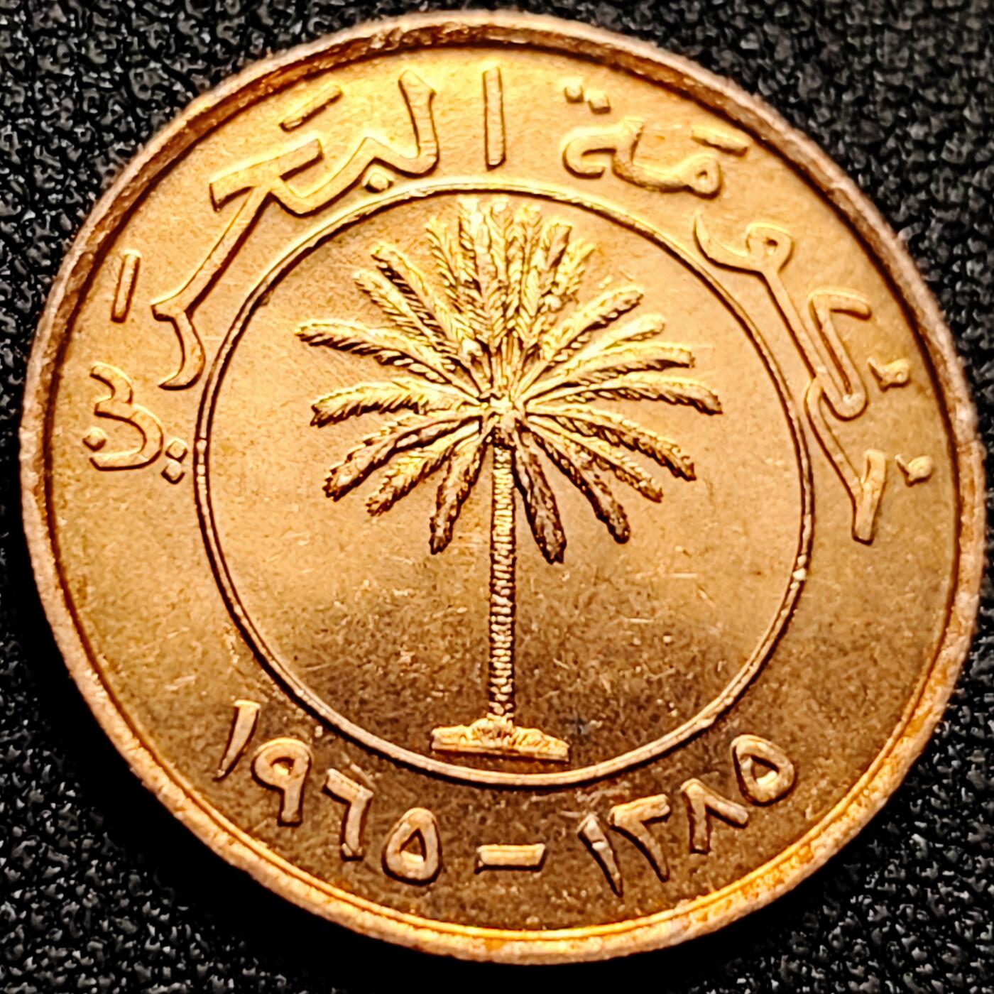 泉币菌-第165场-新年第八场 精品福利场