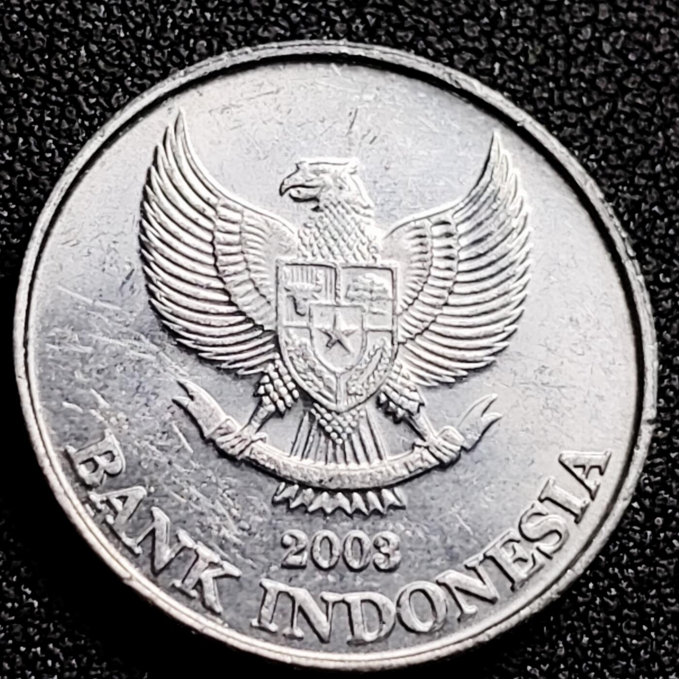 泉币菌-第165场-新年第八场 精品福利场 印度尼西亚 200巴厘岛八哥 25mm