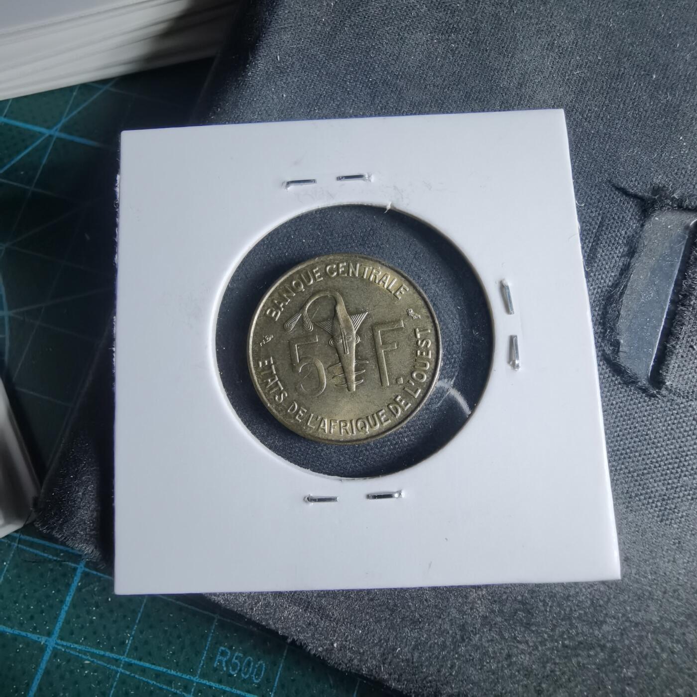 沼泽如烟--第954场