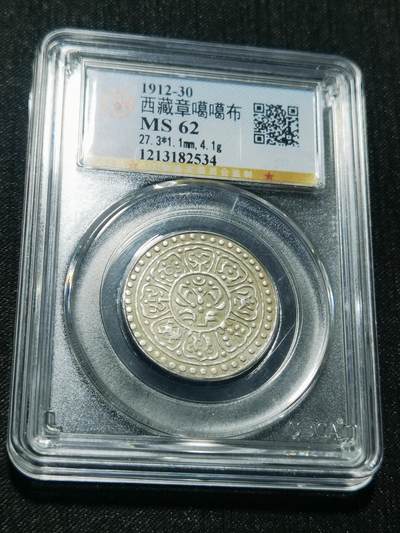 天下钱庄专场欢迎参拍 - 西藏章噶银币