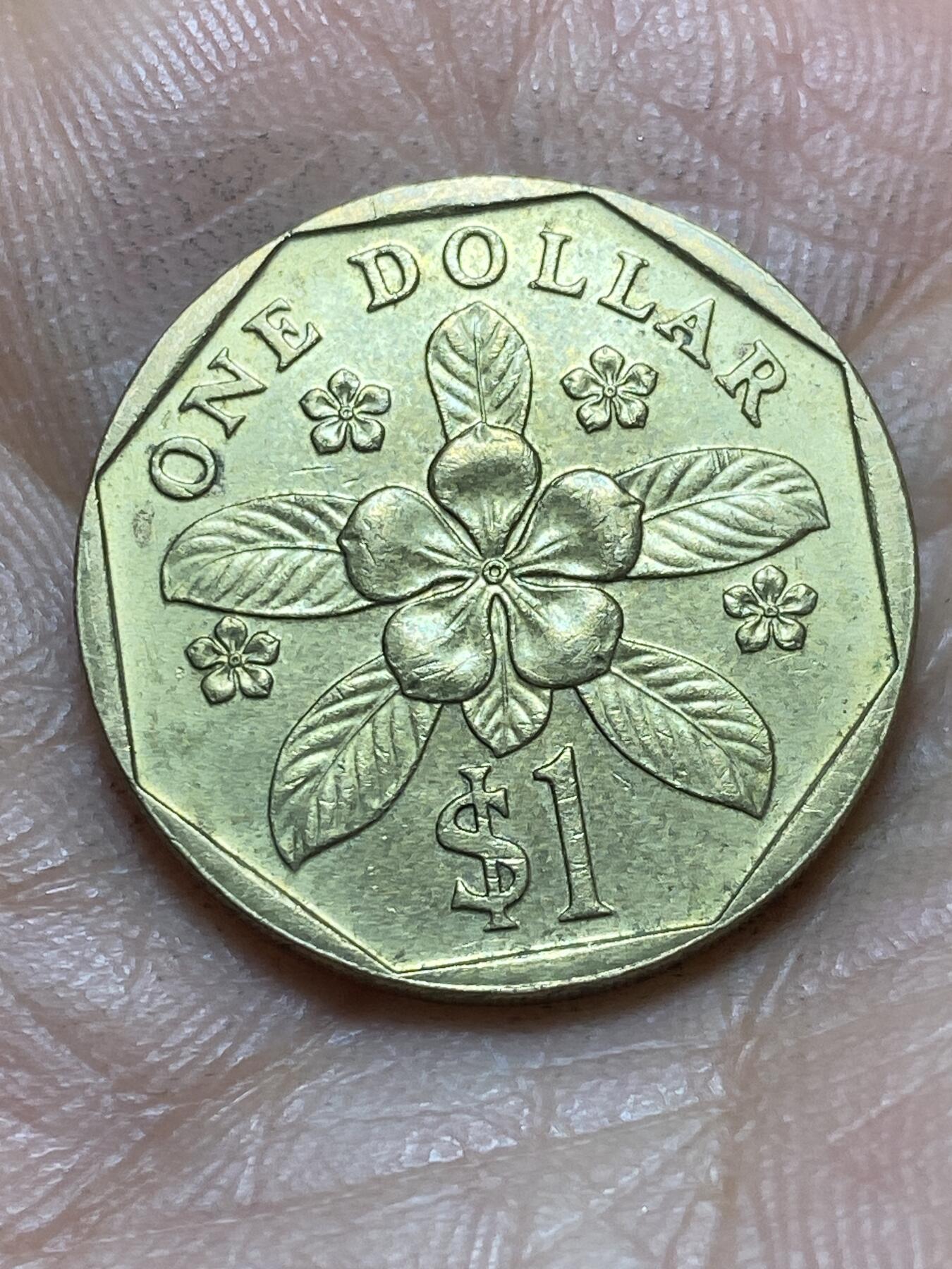 2026年第四场(总第一百七十三场）外国好品散币场(免佣金) 新加坡🇸🇬1989年1元(高盾哭脸版)