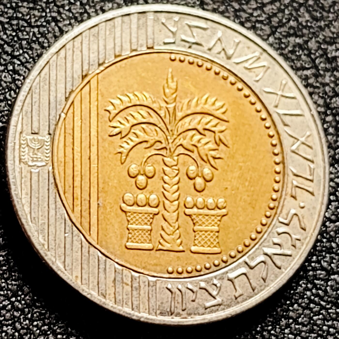 泉币菌-第165场-新年第八场 精品福利场 少见 棕榈树 以色列10新谢克尔 双色双金属币  22.9毫米7.0克