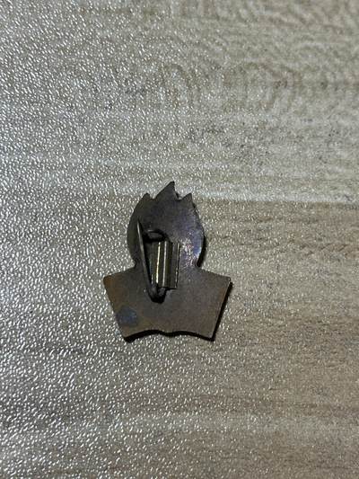 杂七杂八老徽章快拍专场 五十年代朝鲜珐琅徽章