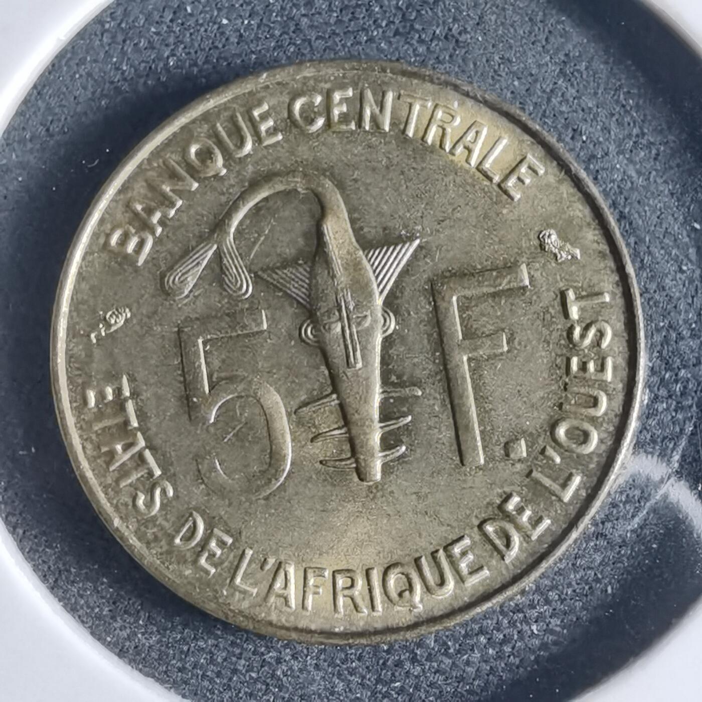 沼泽如烟--第954场