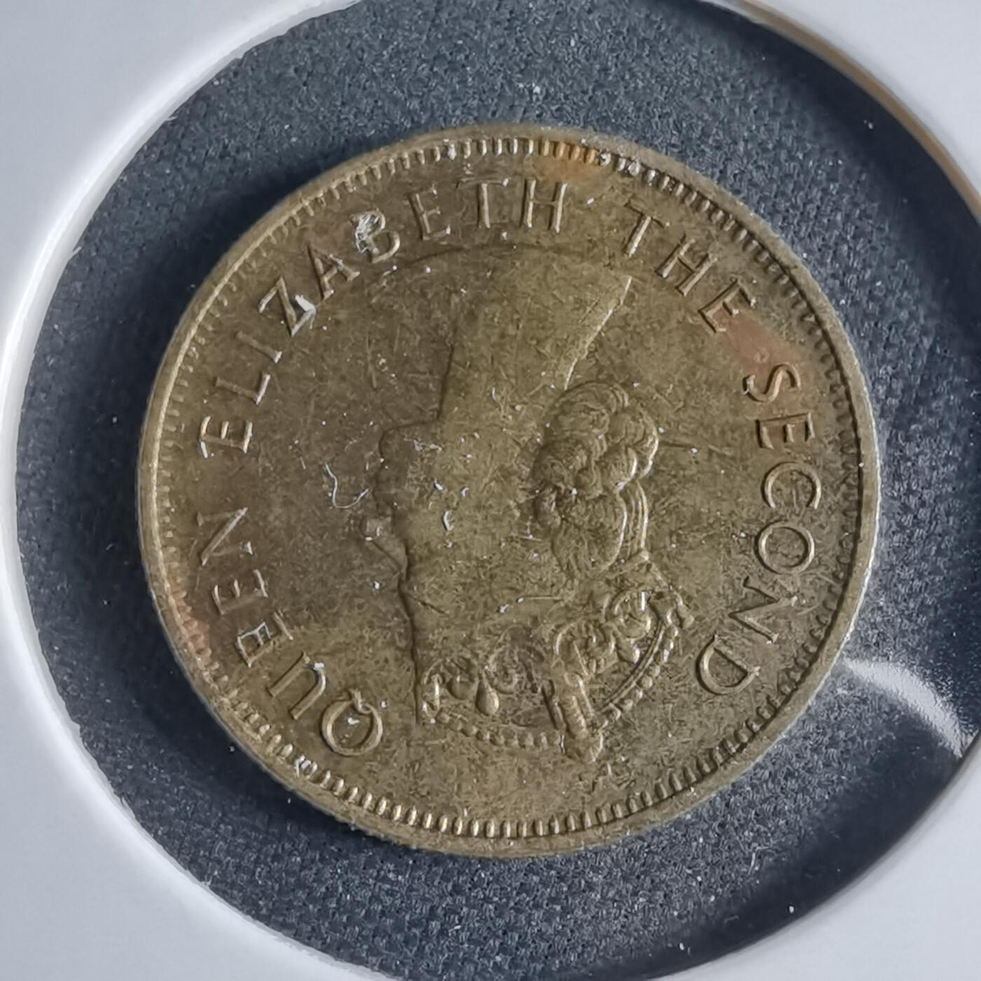 沼泽如烟--第954场