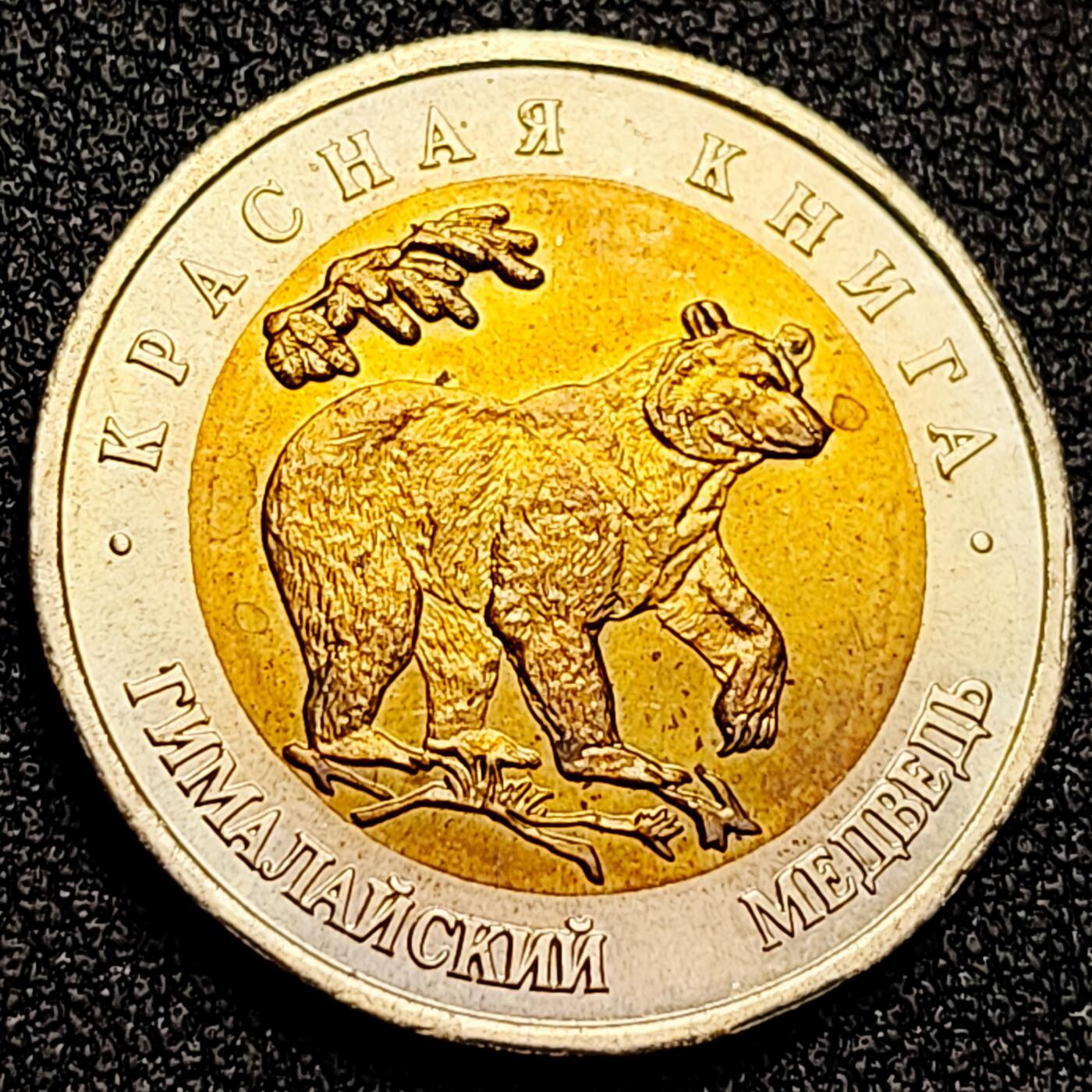 泉币菌-第166场- 新年第九场 精品福利场 全网品相少见 稀少原光UNC 俄罗斯珍惜动物双色纪念币--1993年50卢布 喜马拉雅熊 25.5×1.8mm