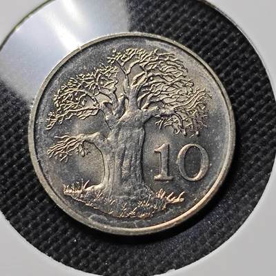 KK钱币收藏小铺  第387期  2月预留时间 周末发货 - 1980津巴布韦10分 好品