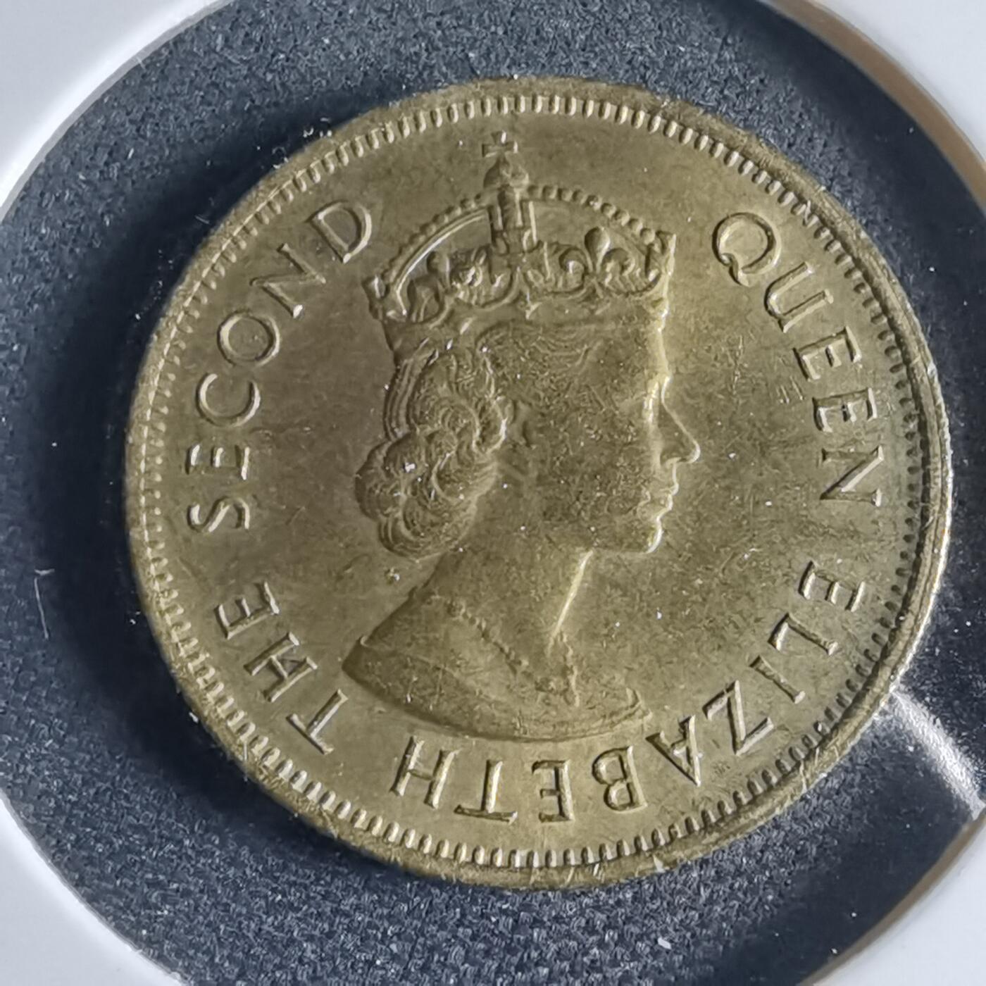 沼泽如烟--第954场