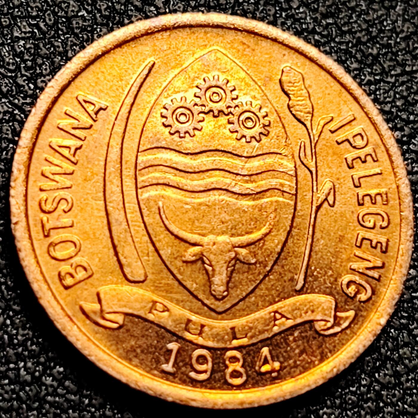 泉币菌-第165场-新年第八场 精品福利场 原铜光极美 图酷鸟 博茨瓦纳5西比 1984年 青铜硬币 19.5毫米 2.8克