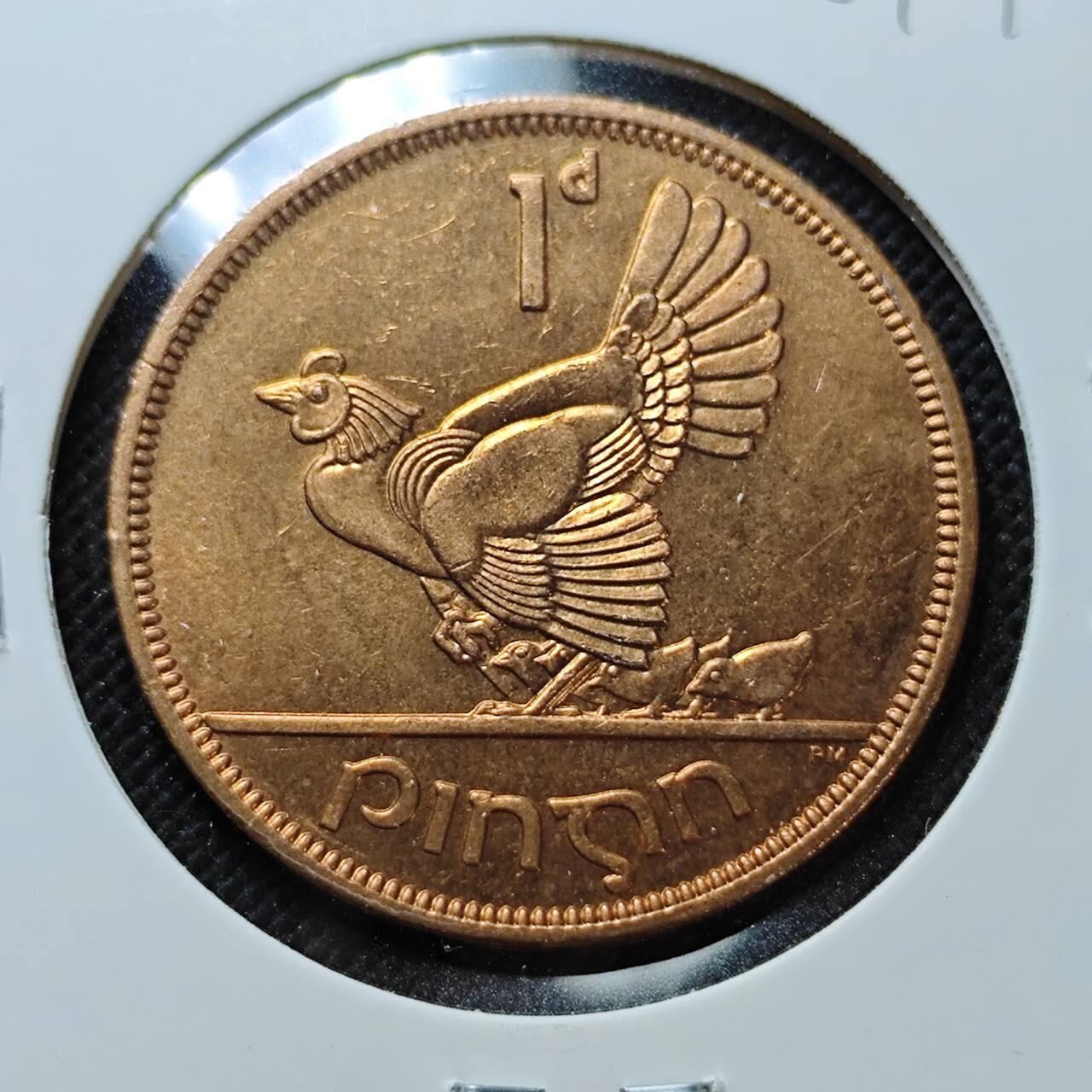 KK钱币收藏小铺  第387期  2月预留时间 周末发货  1968爱尔兰1便士母鸡铜币