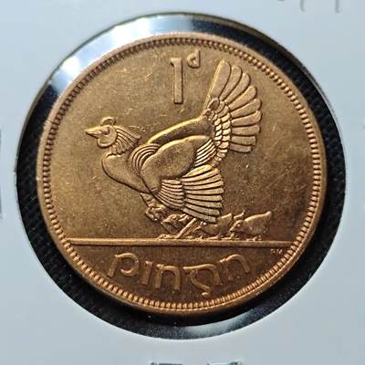 KK钱币收藏小铺  第387期  2月预留时间 周末发货 -  1968爱尔兰1便士母鸡铜币