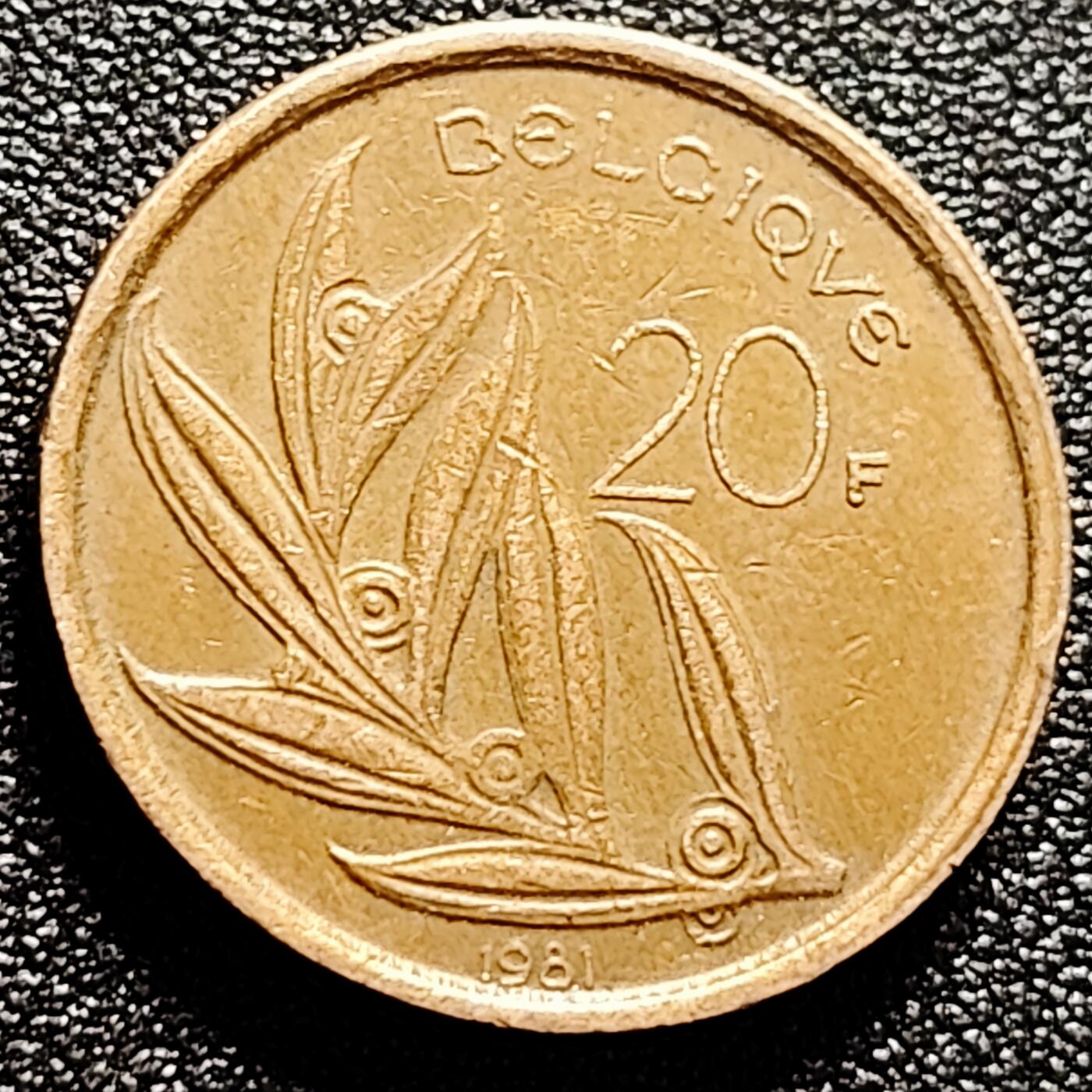 泉币菌-第165场-新年第八场 精品福利场 比利时1981年20法郎 博杜安一世国王 荷兰版 镍青铜币 25.53mm