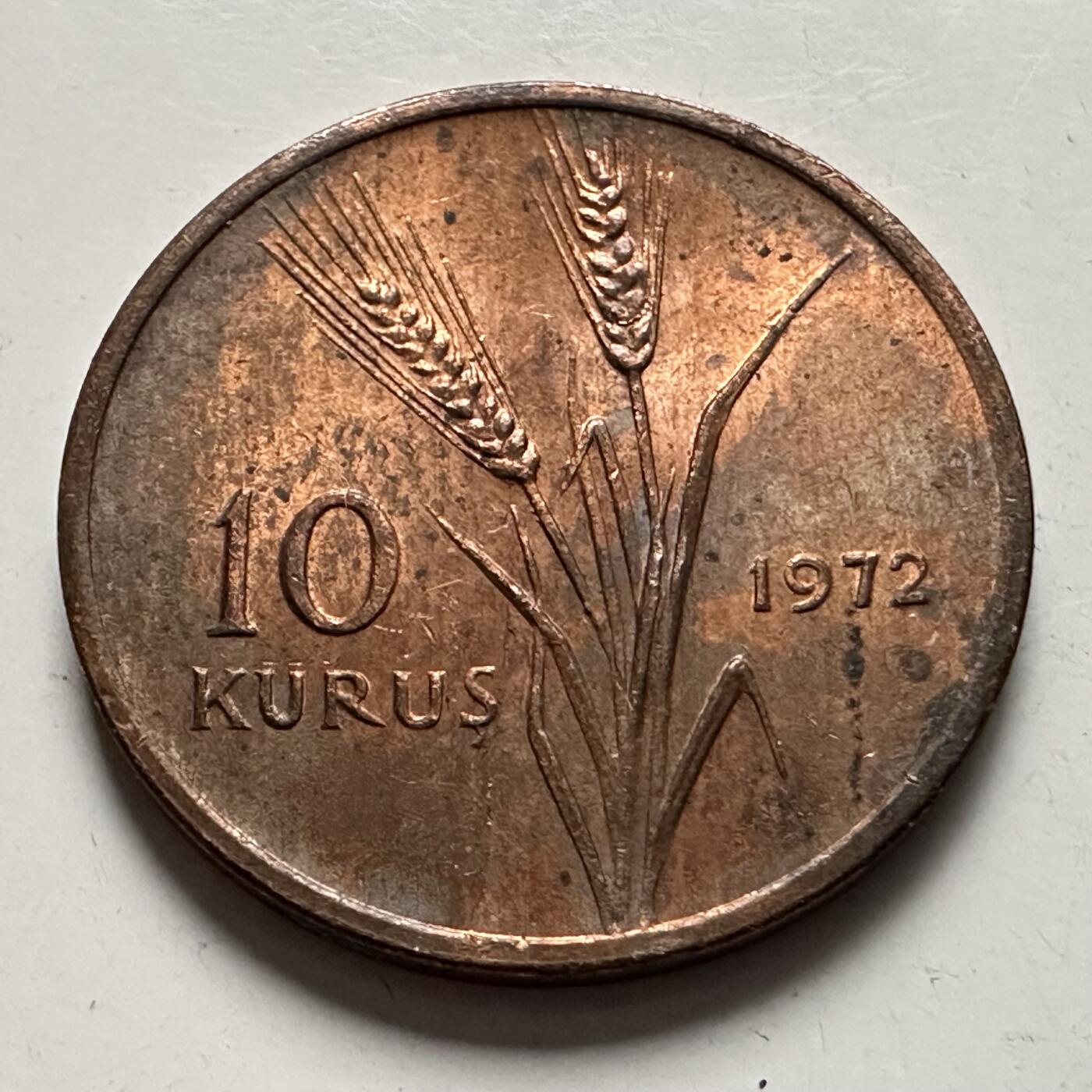 🌹外币初藏🌹🐯2026年第3场  每周二四六晚8️⃣点 接代拍