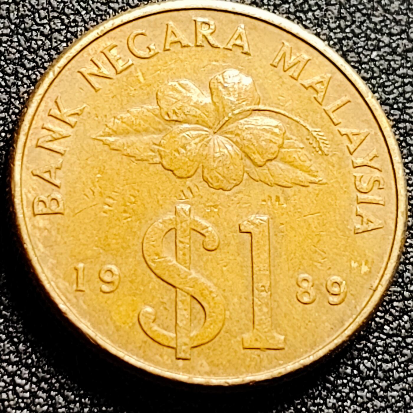 泉币菌-第165场-新年第八场 精品福利场 $版 剑 马来西亚1989年1吉林特黄铜硬币 24毫米 9.35克
