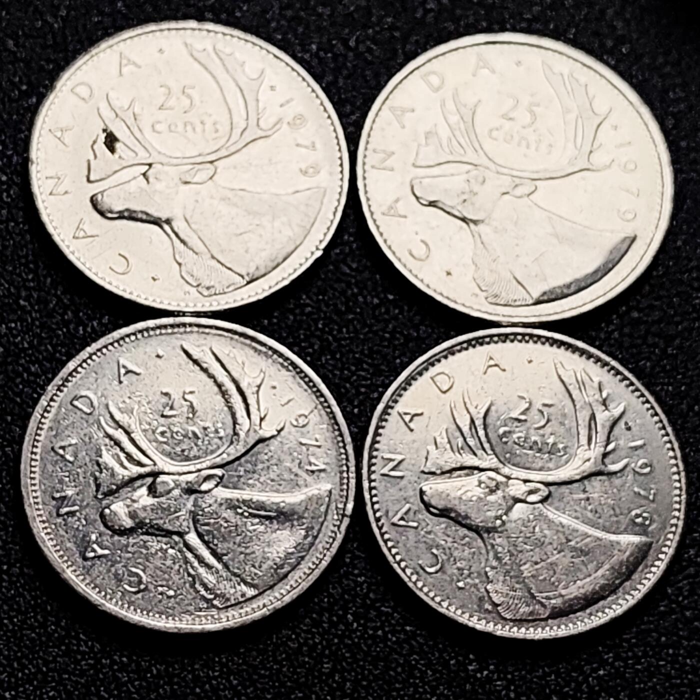 泉币菌-第166场- 精品福利场