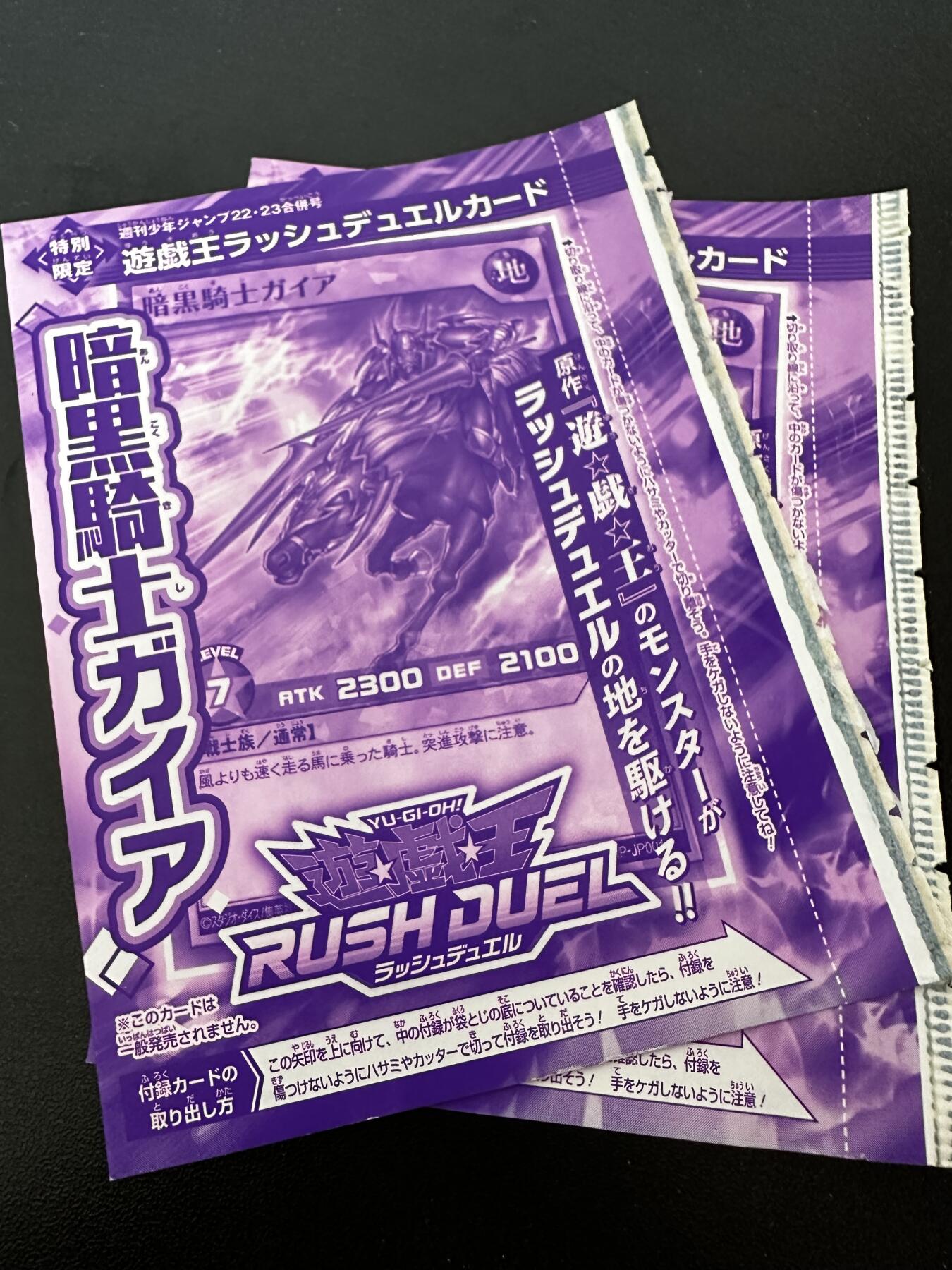 游戏王 RUSH DUEL系列等 卡牌 游戏王 暗黑骑手书卡2包