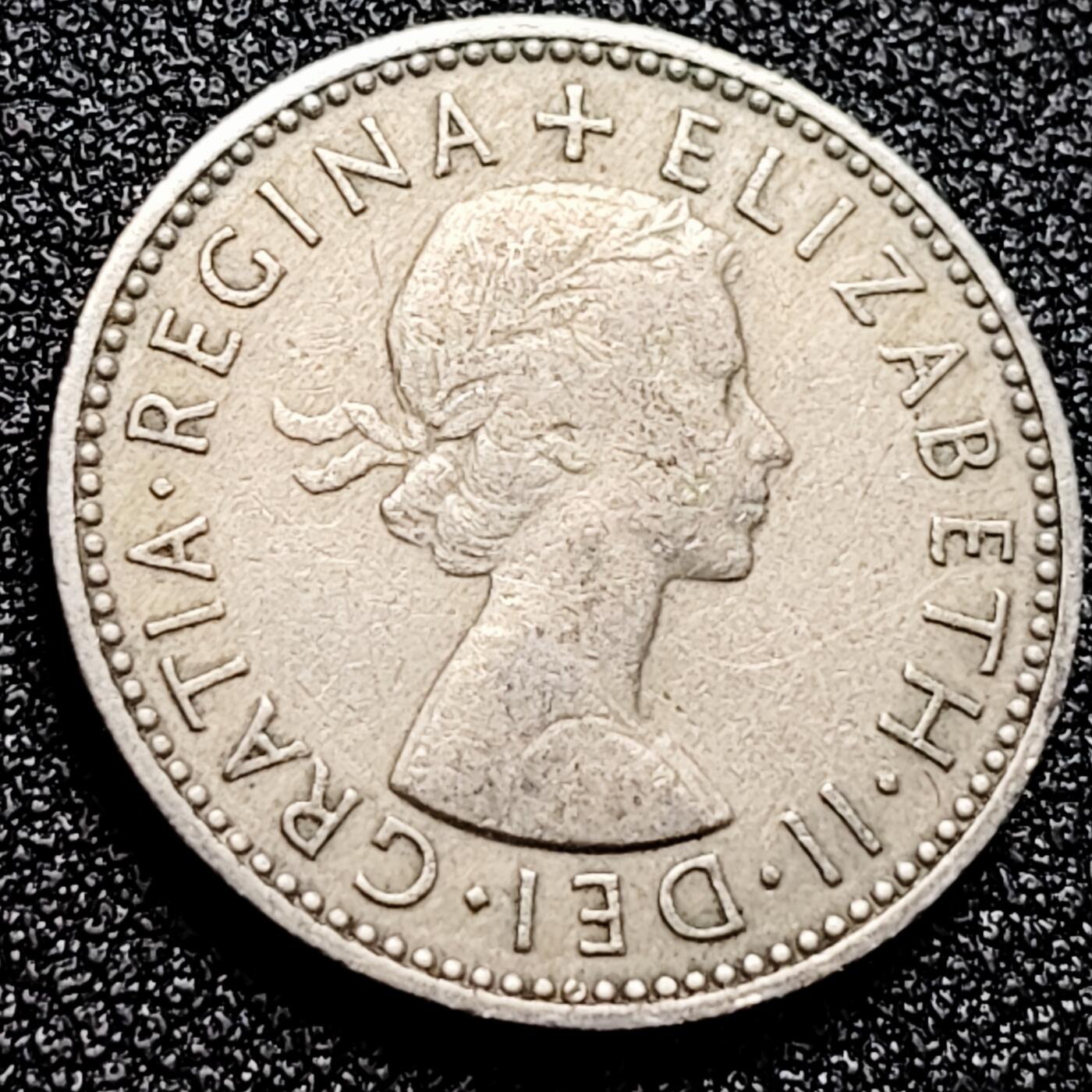 泉币菌-第167场- 精品福利场 。