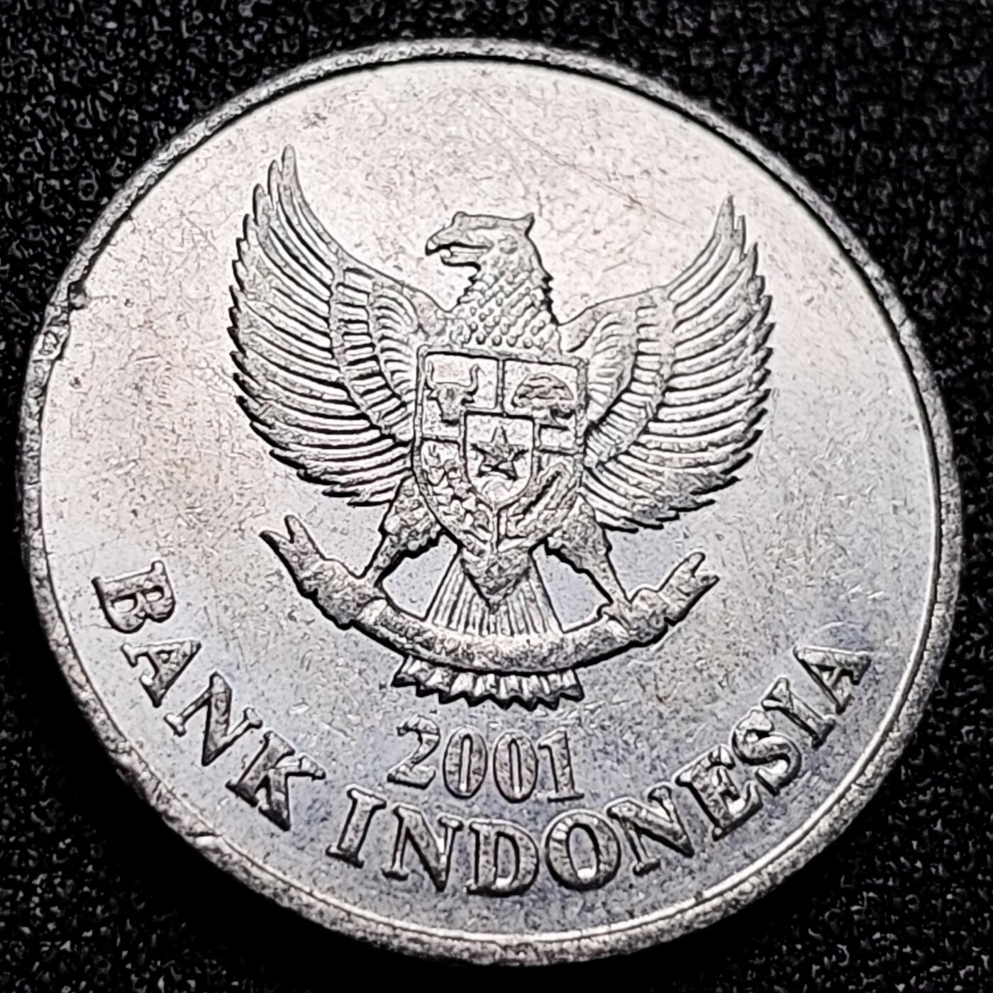 泉币菌-第166场- 新年第九场 精品福利场 。