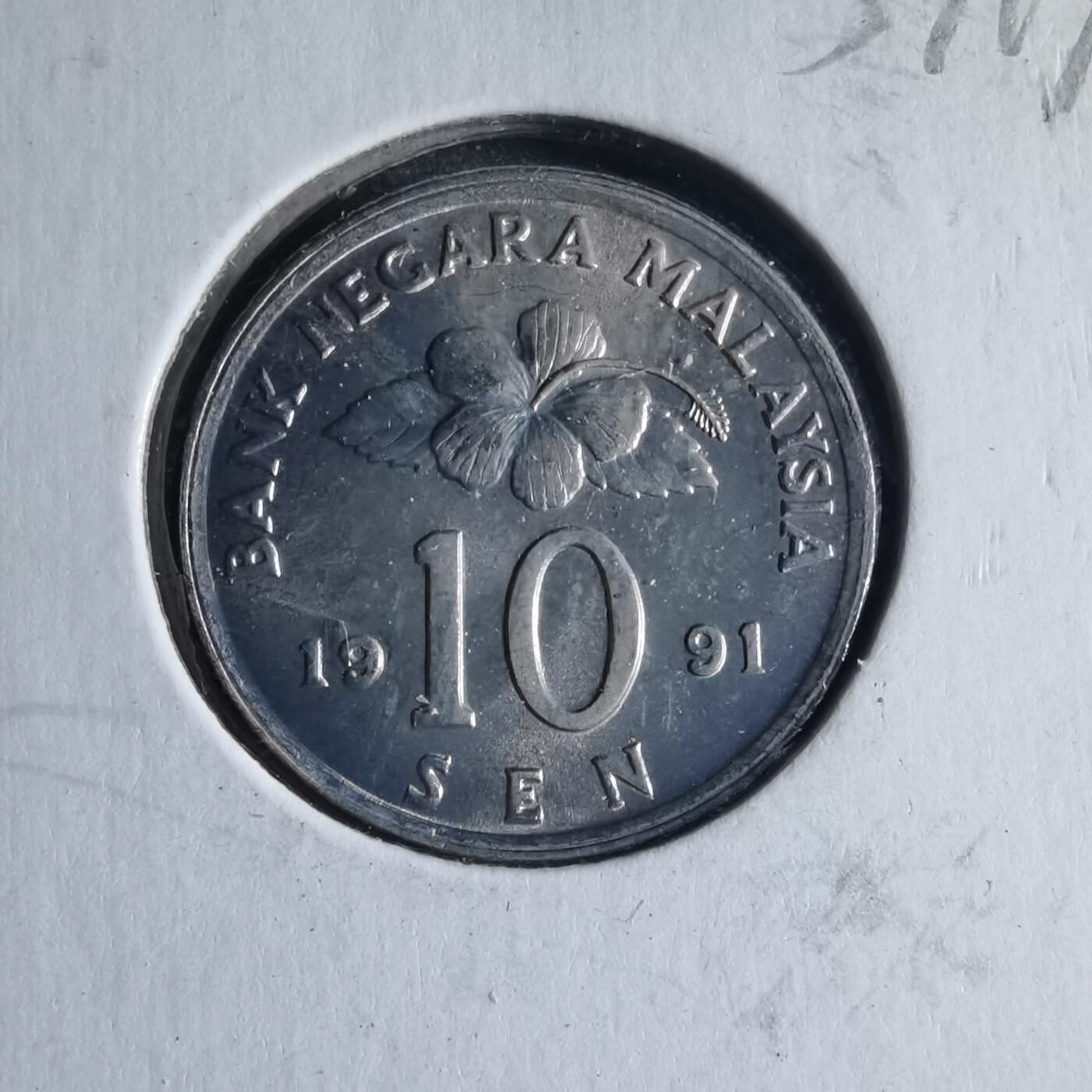 沼泽如烟--第954场