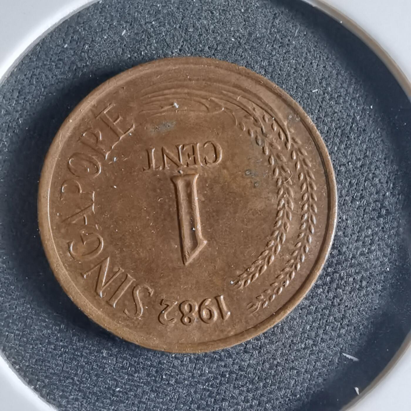 沼泽如烟--第954场