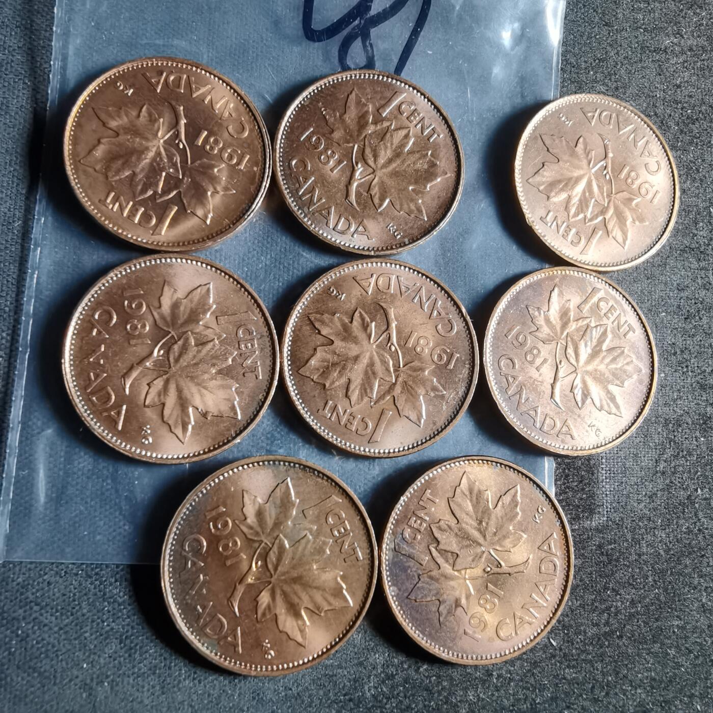 沼泽如烟--第954场