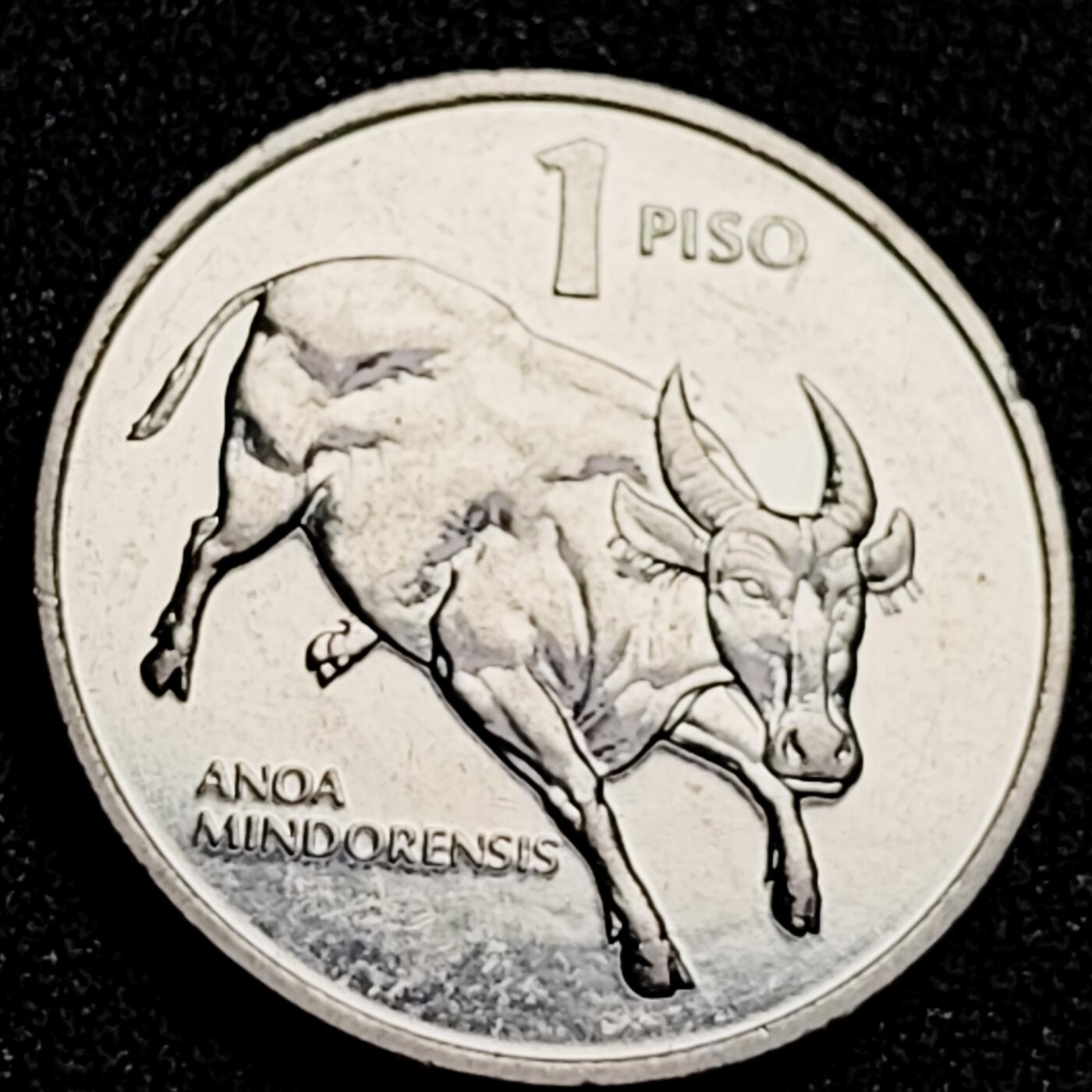 泉币菌-第166场- 新年第九场 精品福利场 。